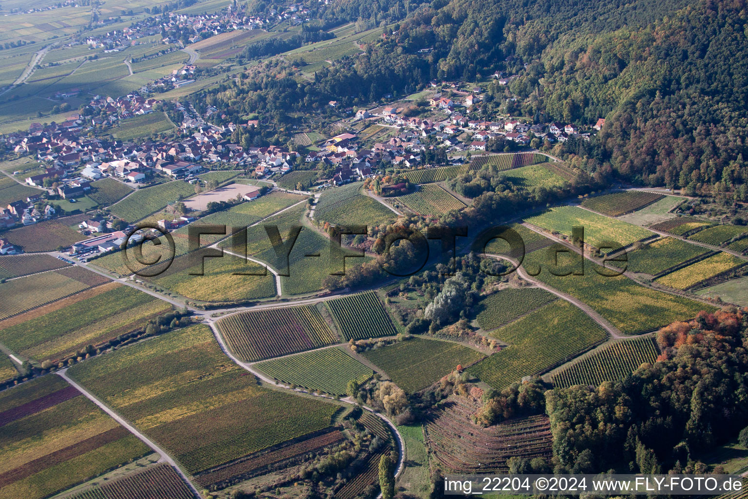 Photographie aérienne de Burrweiler dans le département Rhénanie-Palatinat, Allemagne