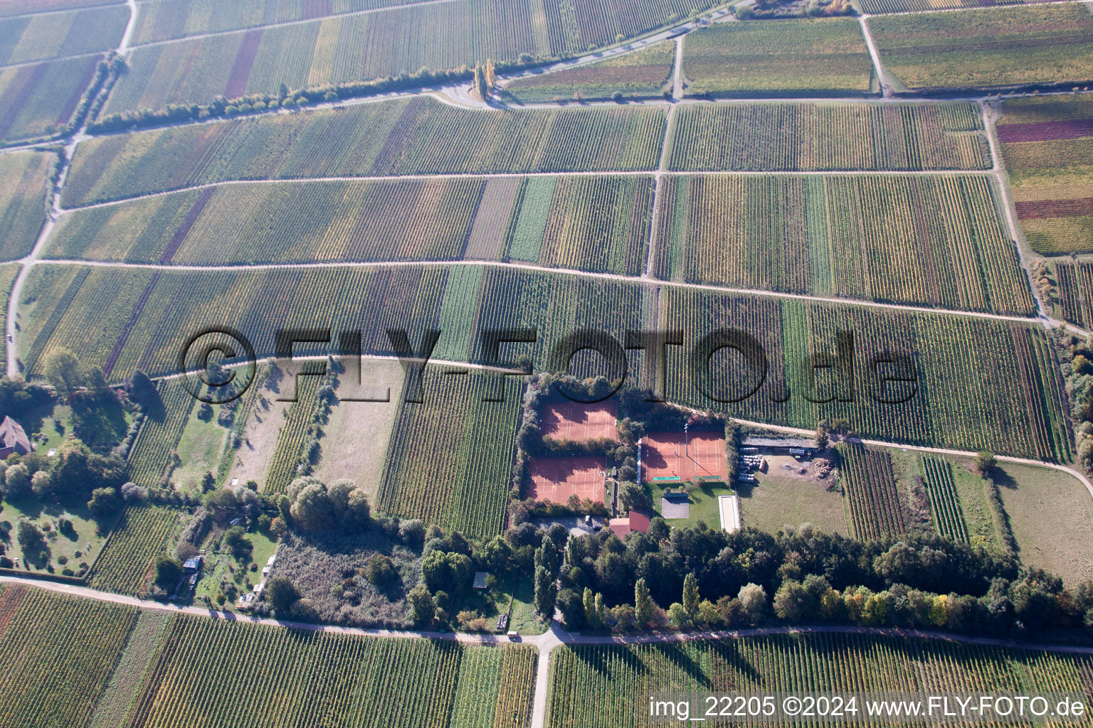 Vue oblique de Burrweiler dans le département Rhénanie-Palatinat, Allemagne