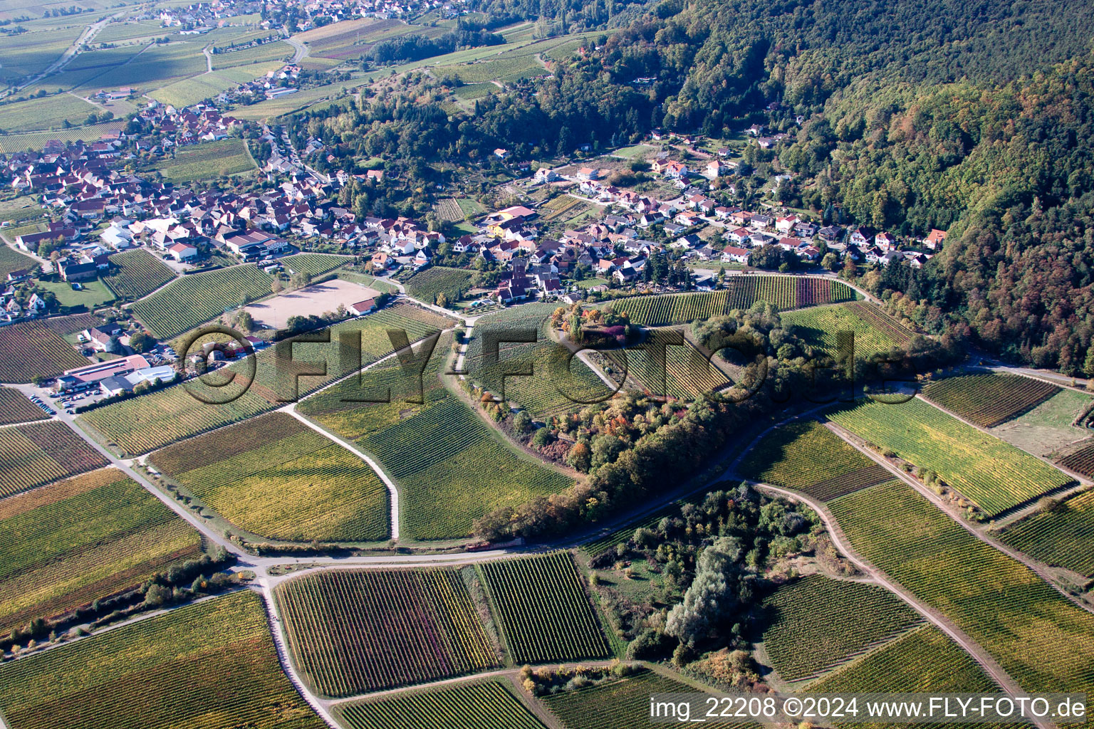 Burrweiler dans le département Rhénanie-Palatinat, Allemagne vue d'en haut