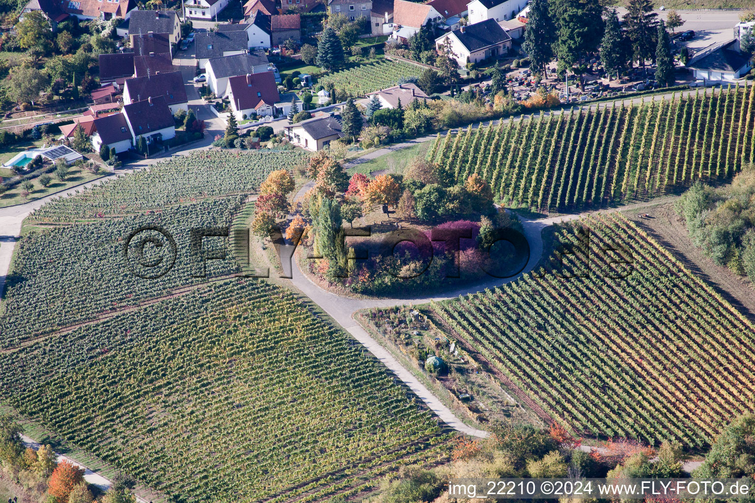 Vue aérienne de Île aux arbres dans un champ à Burrweiler dans le département Rhénanie-Palatinat, Allemagne