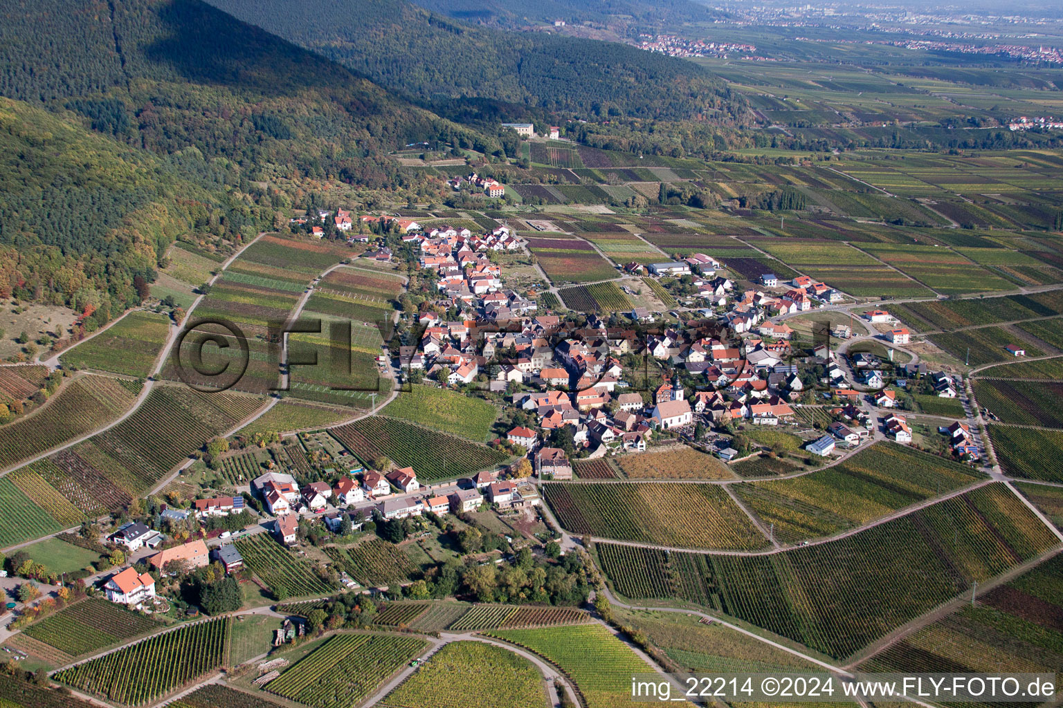 Weyher in der Pfalz dans le département Rhénanie-Palatinat, Allemagne du point de vue du drone