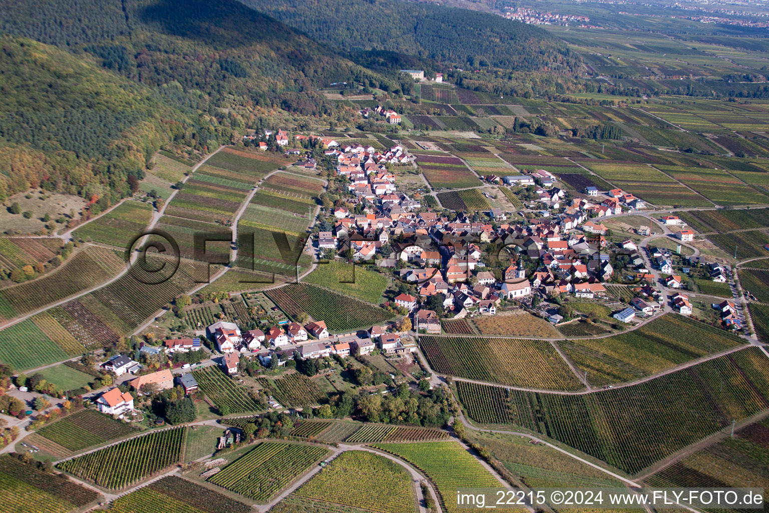 Vue aérienne de Vignobles à le quartier Weyher in Weyher in der Pfalz dans le département Rhénanie-Palatinat, Allemagne