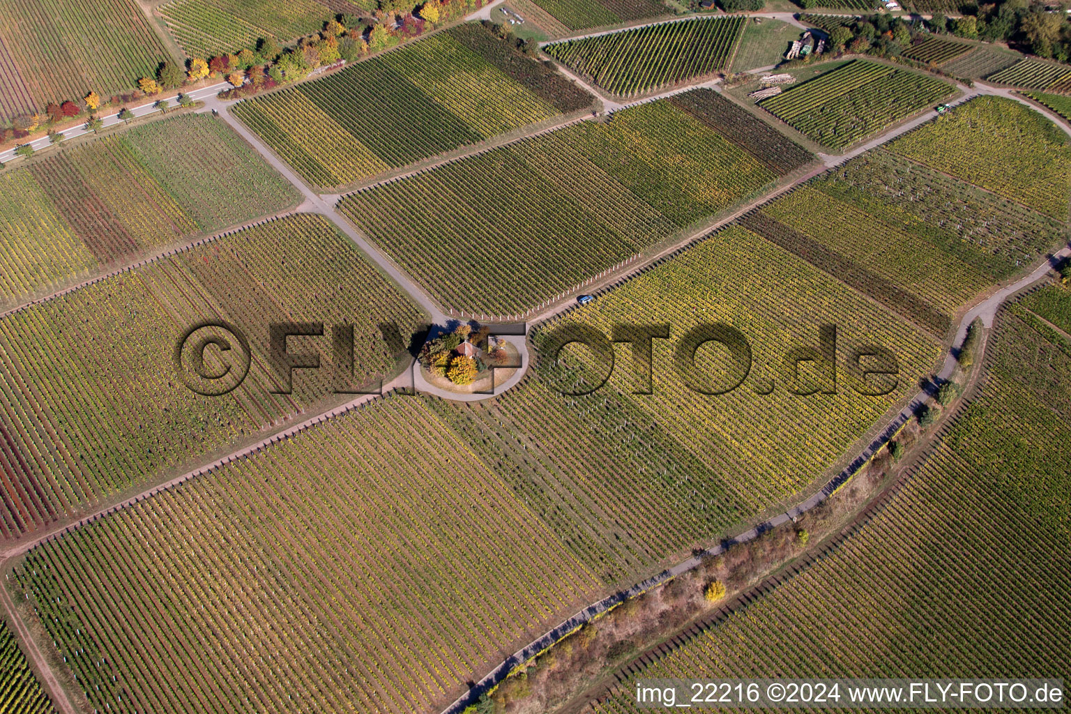 Weyher in der Pfalz dans le département Rhénanie-Palatinat, Allemagne d'un drone