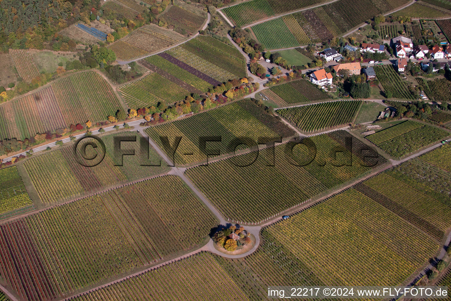 Weyher in der Pfalz dans le département Rhénanie-Palatinat, Allemagne vu d'un drone