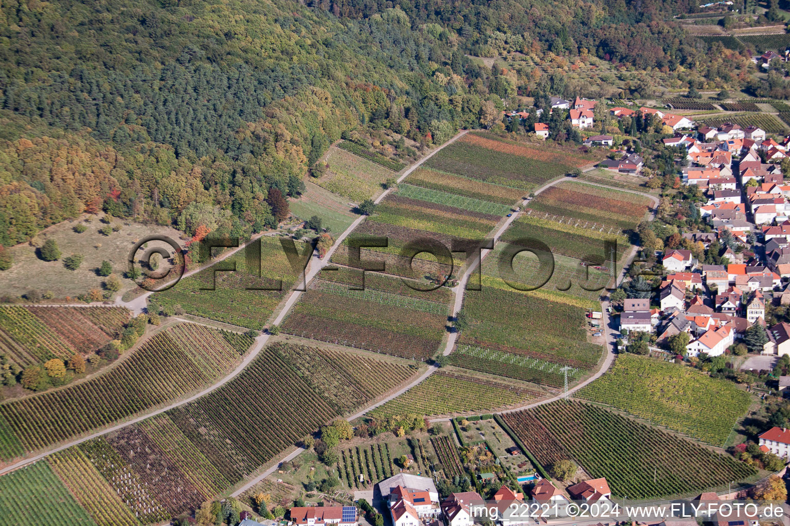 Vue aérienne de Weyher in der Pfalz dans le département Rhénanie-Palatinat, Allemagne