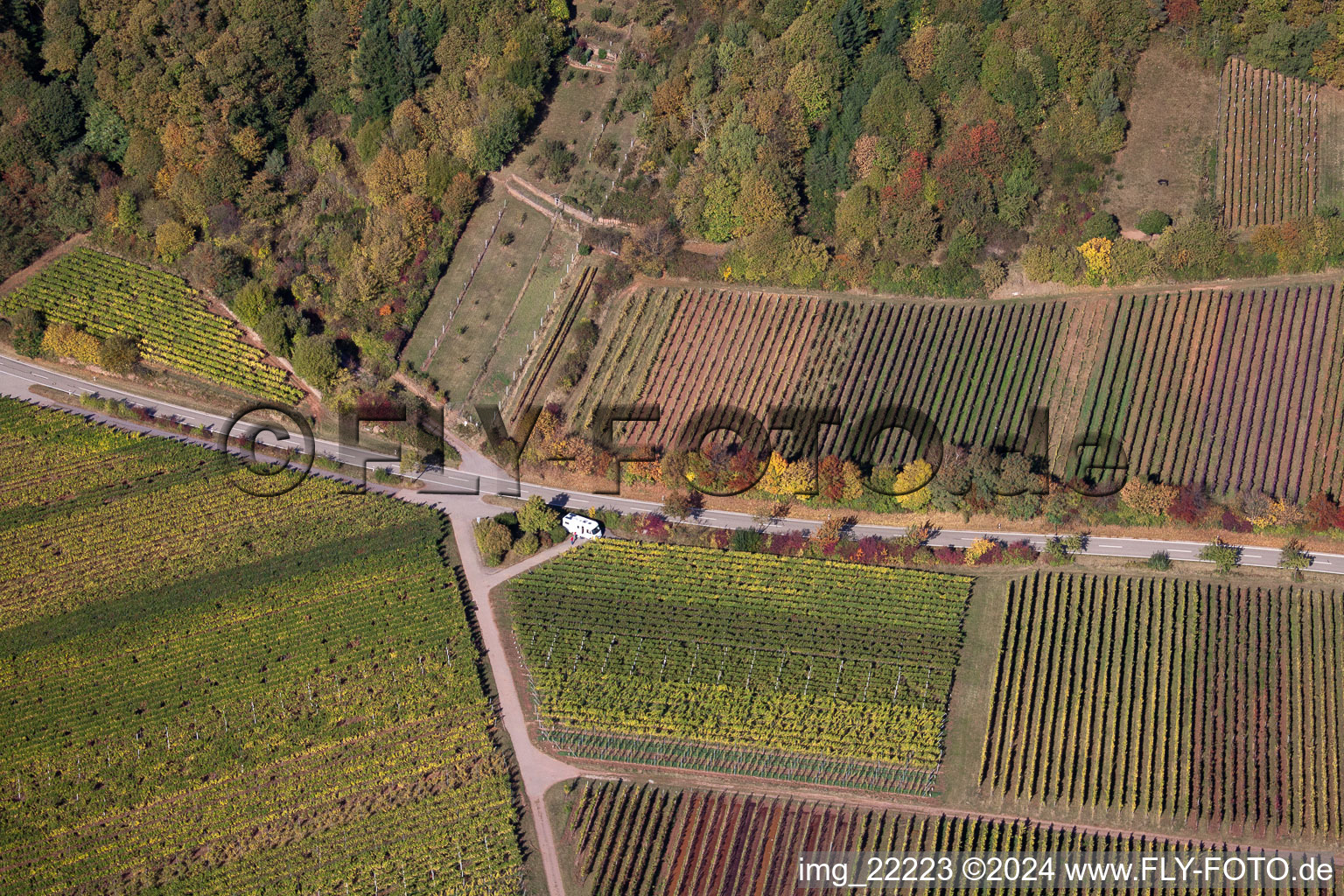 Vue oblique de Weyher in der Pfalz dans le département Rhénanie-Palatinat, Allemagne