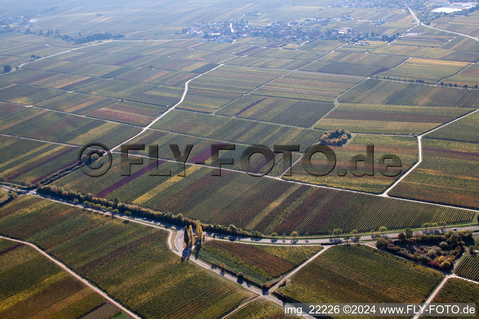 Weyher in der Pfalz dans le département Rhénanie-Palatinat, Allemagne vue d'en haut