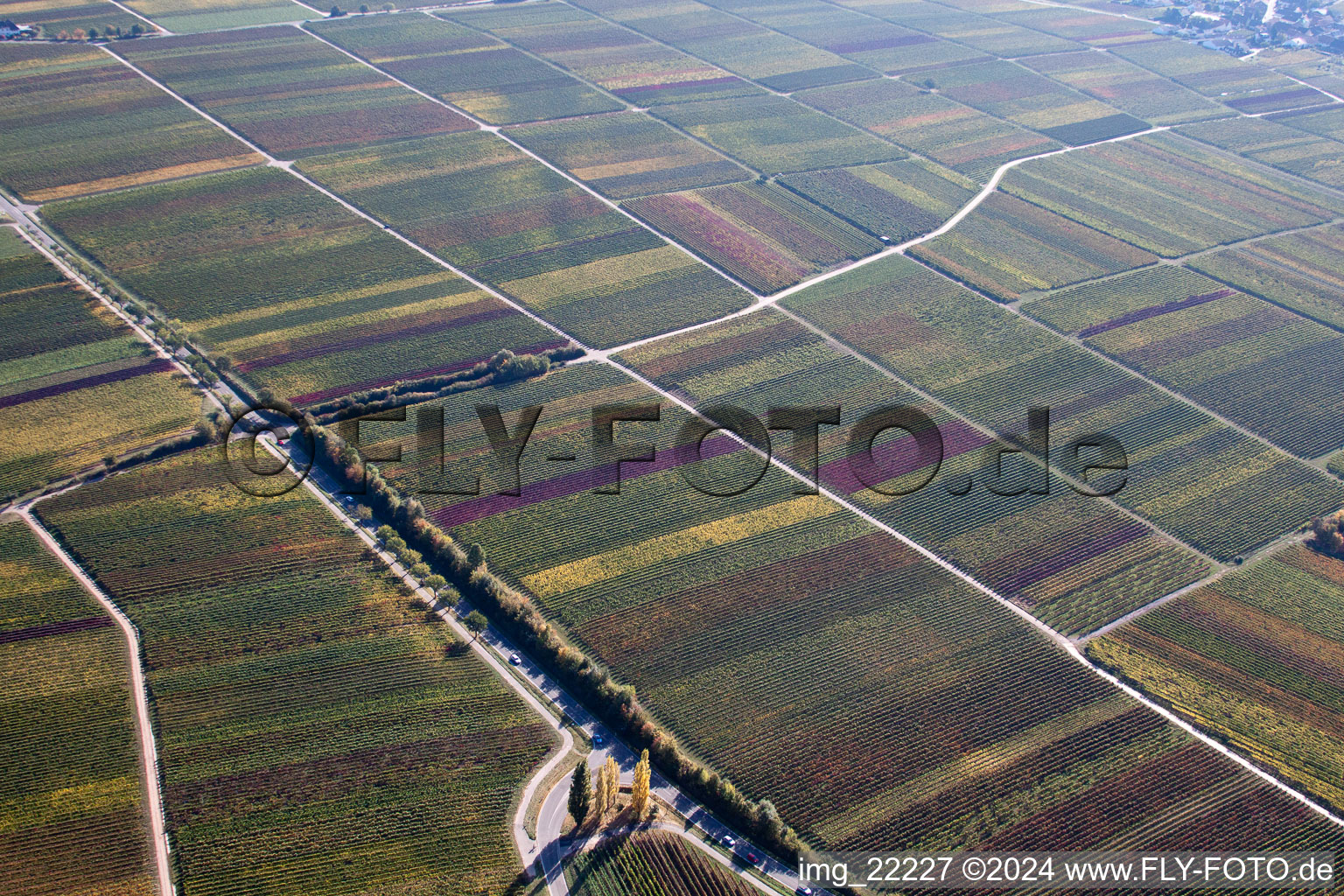 Burrweiler dans le département Rhénanie-Palatinat, Allemagne depuis l'avion