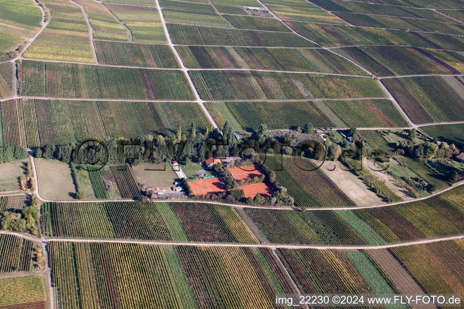 Burrweiler dans le département Rhénanie-Palatinat, Allemagne vue du ciel