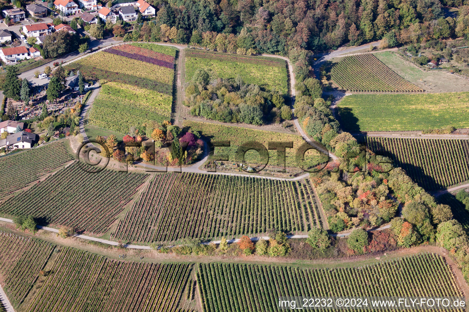 Burrweiler dans le département Rhénanie-Palatinat, Allemagne vue du ciel