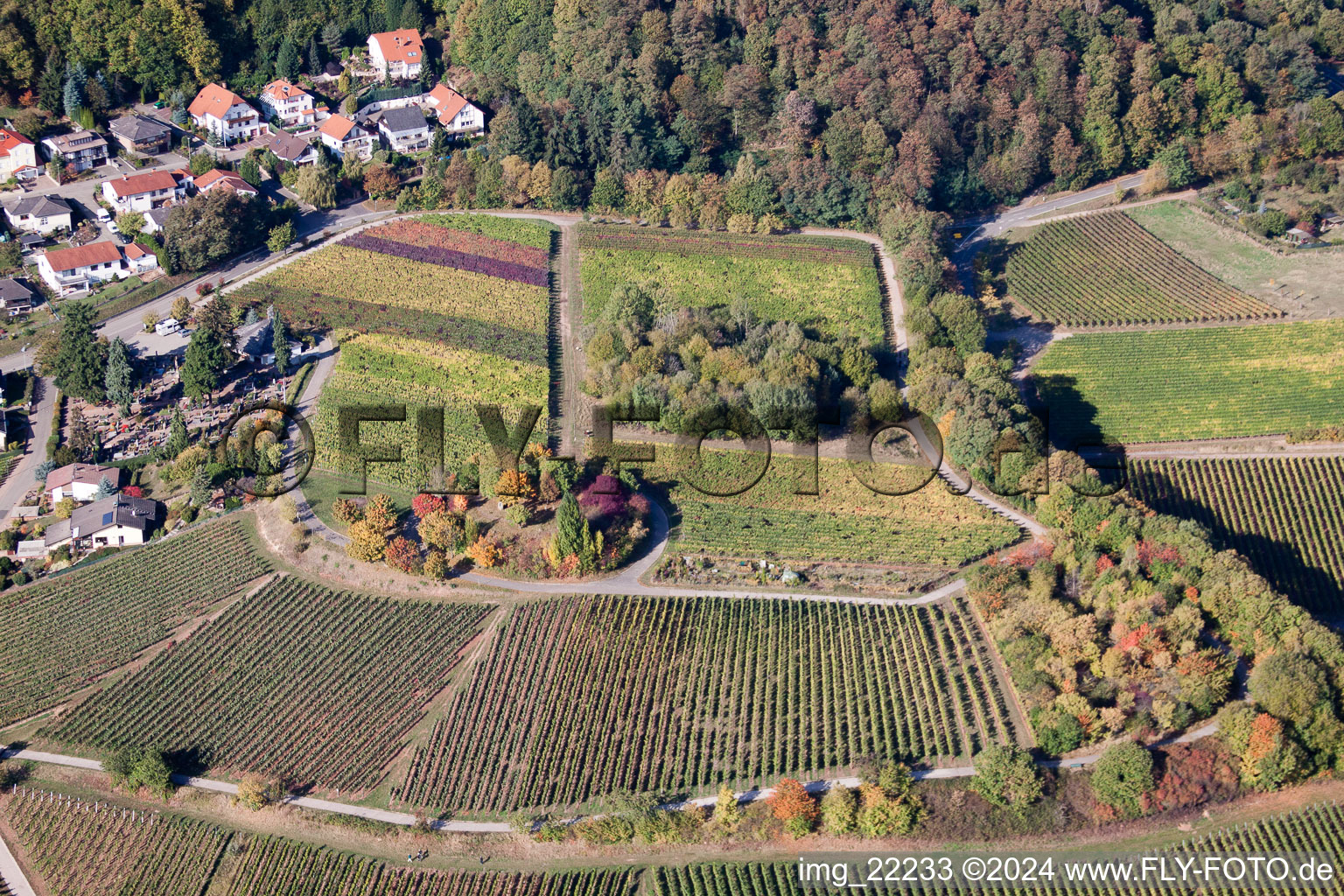 Enregistrement par drone de Burrweiler dans le département Rhénanie-Palatinat, Allemagne