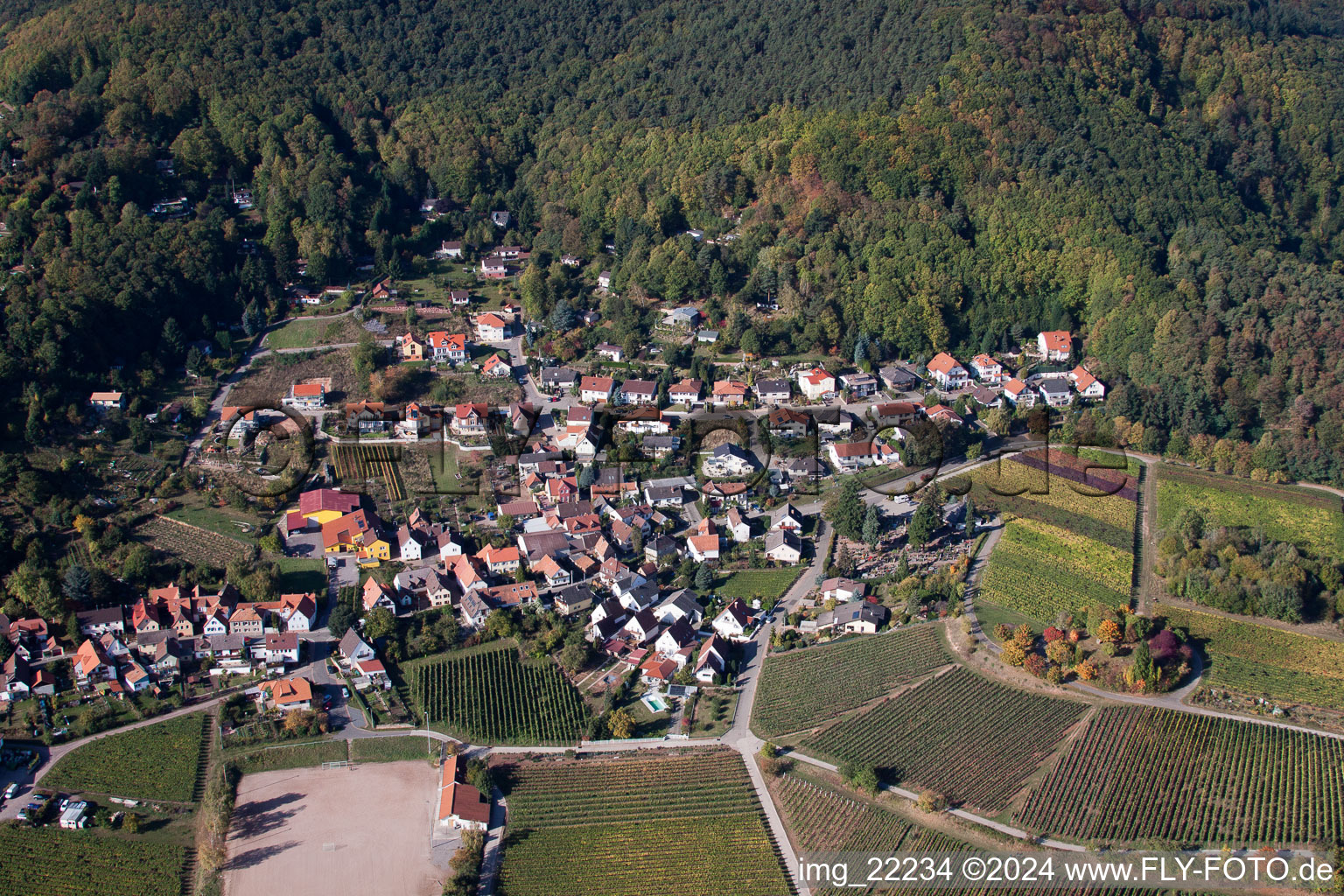 Image drone de Burrweiler dans le département Rhénanie-Palatinat, Allemagne