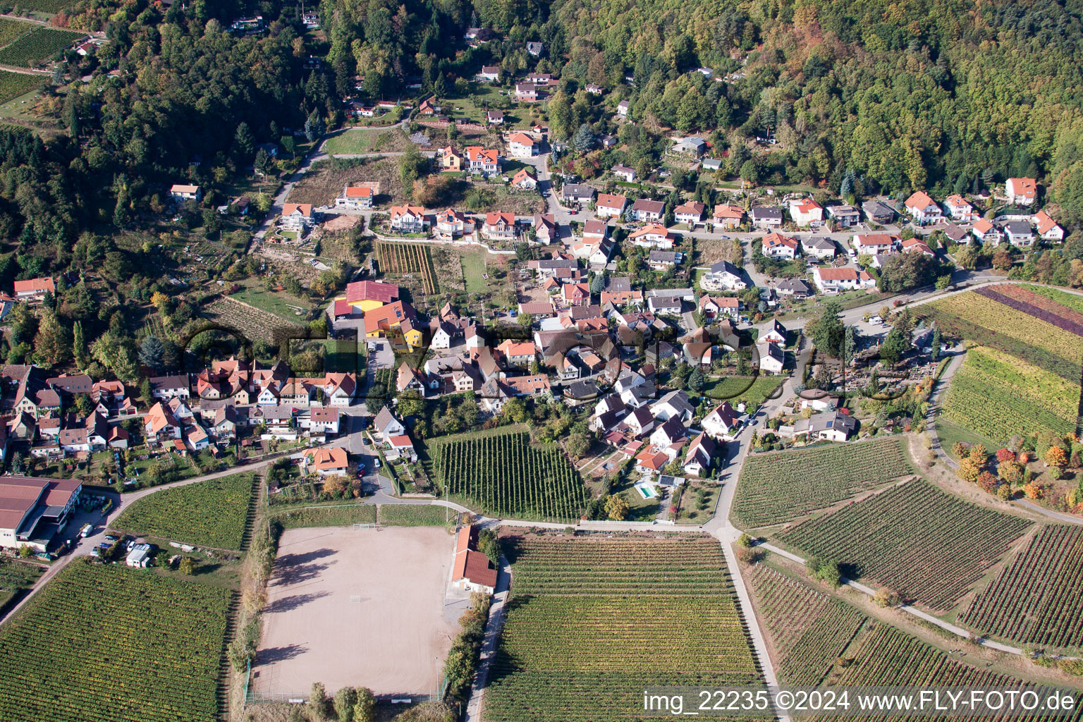 Burrweiler dans le département Rhénanie-Palatinat, Allemagne du point de vue du drone