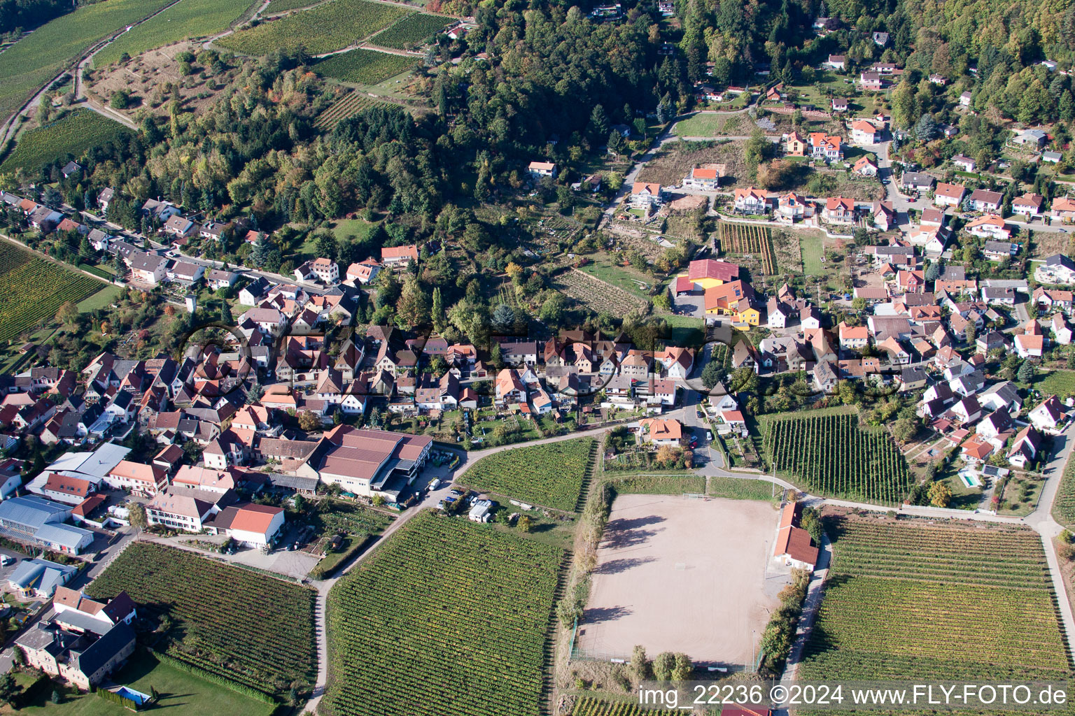 Burrweiler dans le département Rhénanie-Palatinat, Allemagne d'un drone