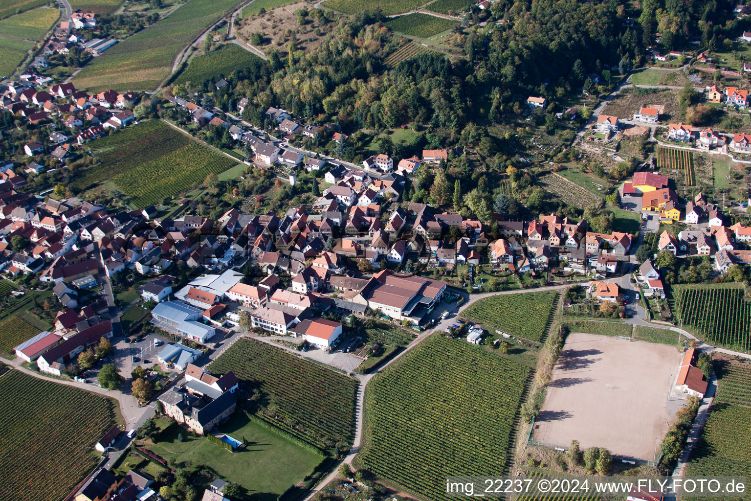 Burrweiler dans le département Rhénanie-Palatinat, Allemagne vu d'un drone