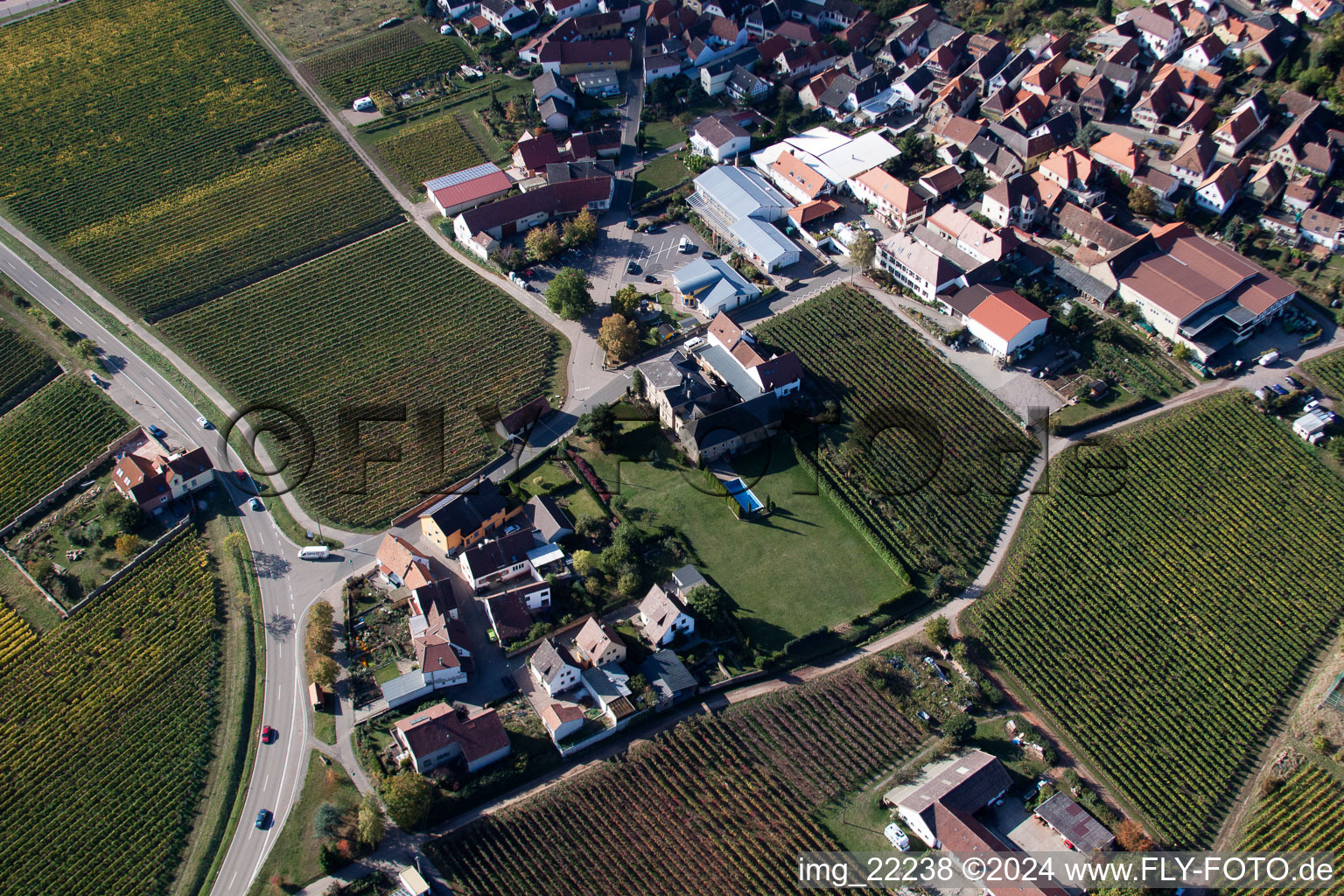 Vue aérienne de Burrweiler dans le département Rhénanie-Palatinat, Allemagne