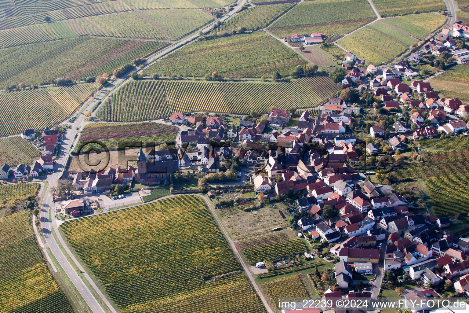 Photographie aérienne de Burrweiler dans le département Rhénanie-Palatinat, Allemagne