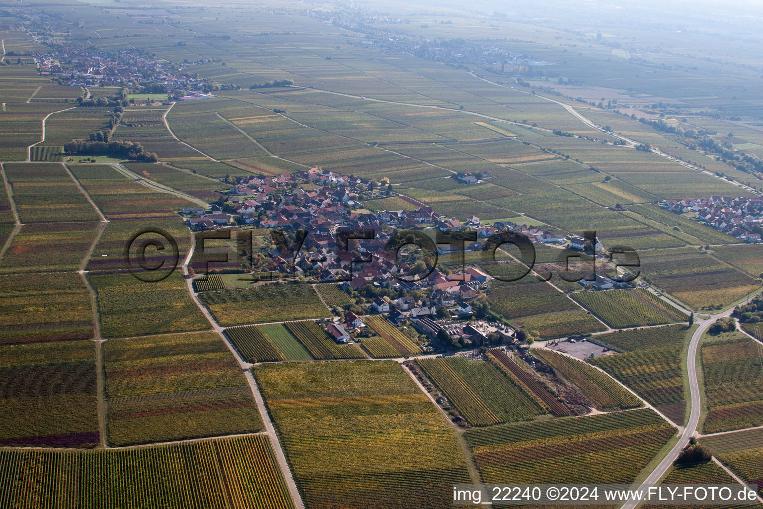 Vue aérienne de Vignobles à Flemlingen dans le département Rhénanie-Palatinat, Allemagne