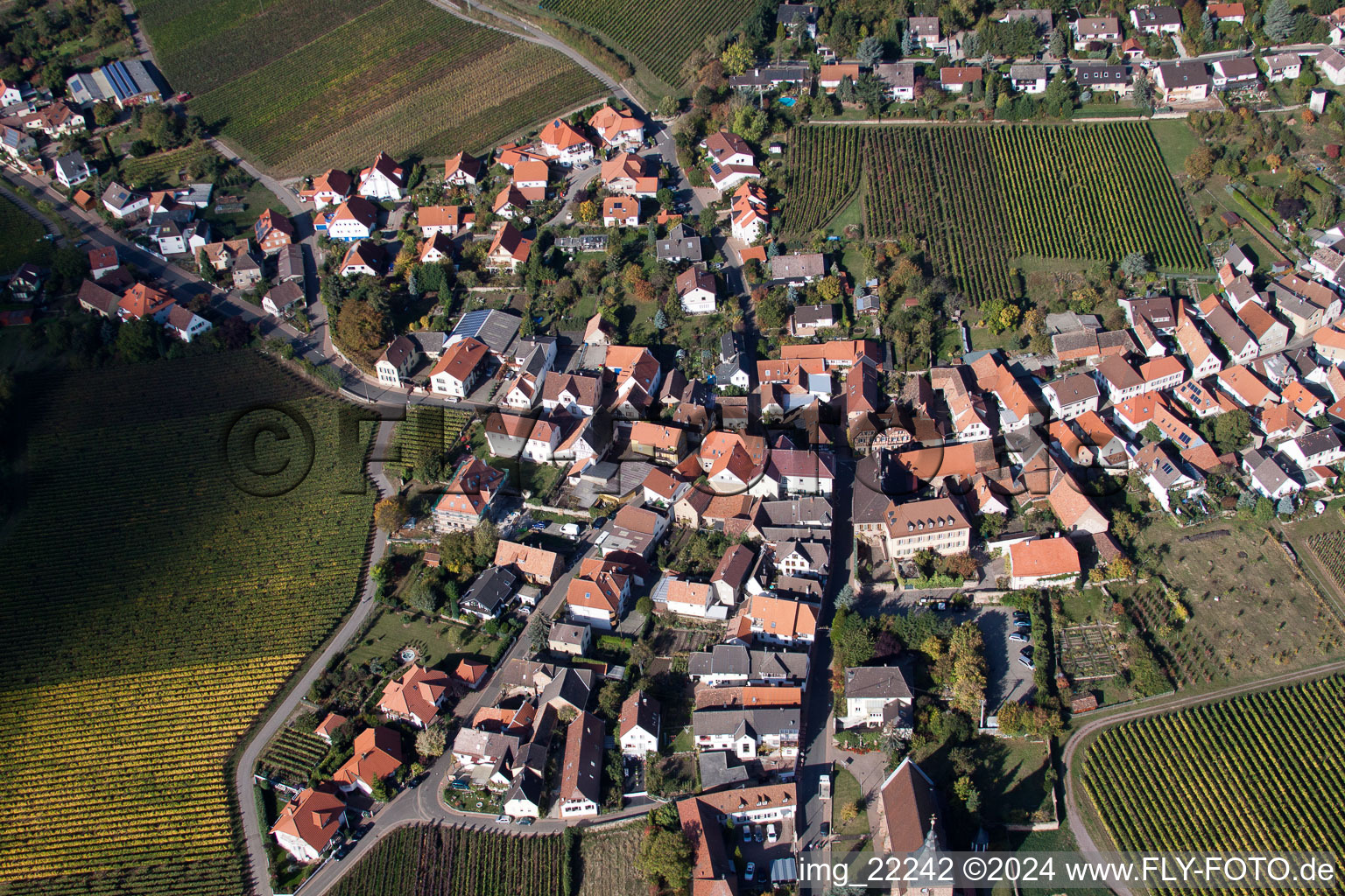 Vue oblique de Burrweiler dans le département Rhénanie-Palatinat, Allemagne