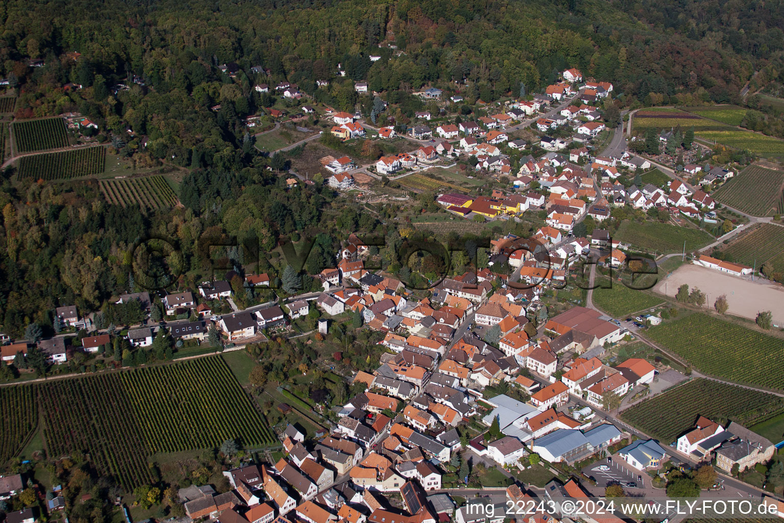 Burrweiler dans le département Rhénanie-Palatinat, Allemagne d'en haut