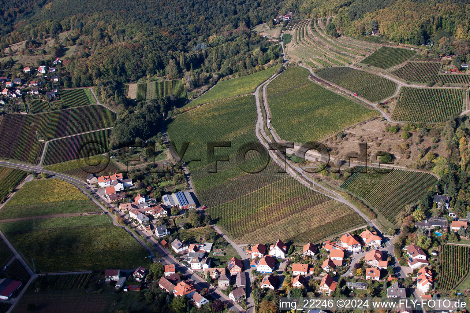 Burrweiler dans le département Rhénanie-Palatinat, Allemagne depuis l'avion