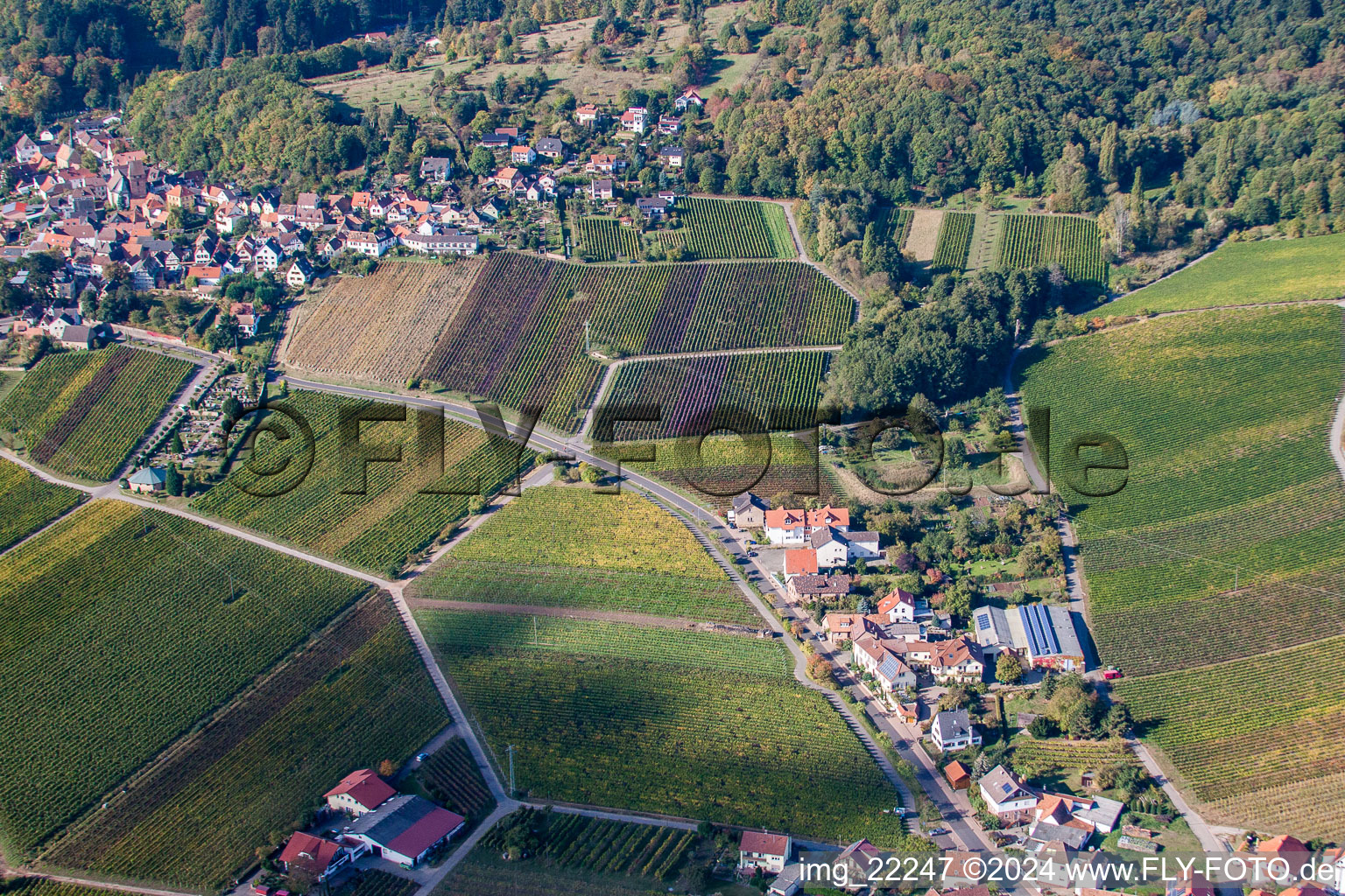 Vue d'oiseau de Burrweiler dans le département Rhénanie-Palatinat, Allemagne