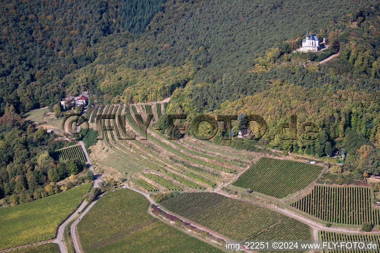 Vue aérienne de Chapelle Sainte-Anne Chapelle sur l'Annaberg à Burrweiler dans le département Rhénanie-Palatinat, Allemagne