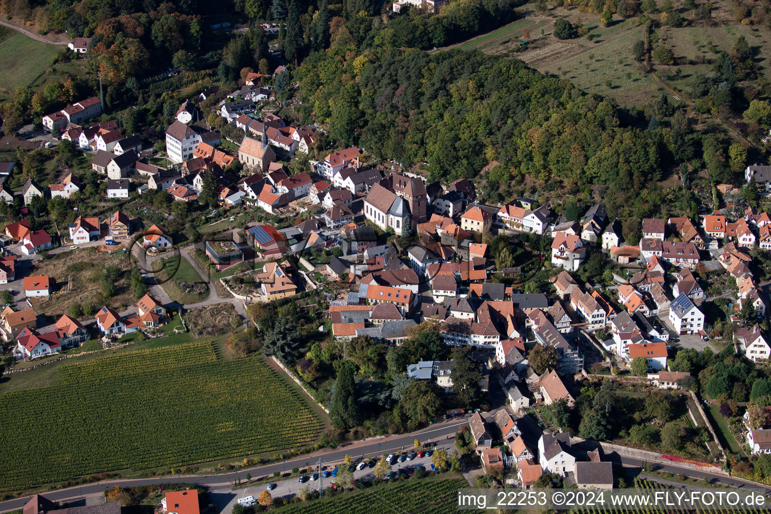 Photographie aérienne de Champs agricoles et surfaces utilisables à Gleisweiler dans le département Rhénanie-Palatinat, Allemagne