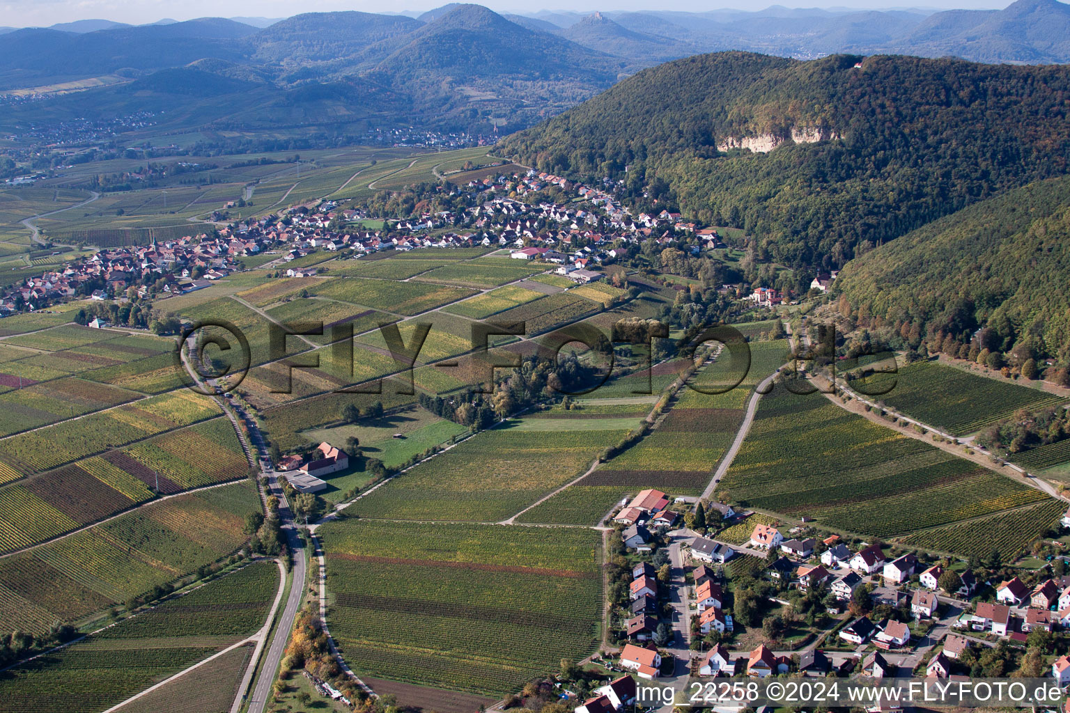 Frankweiler dans le département Rhénanie-Palatinat, Allemagne vue d'en haut