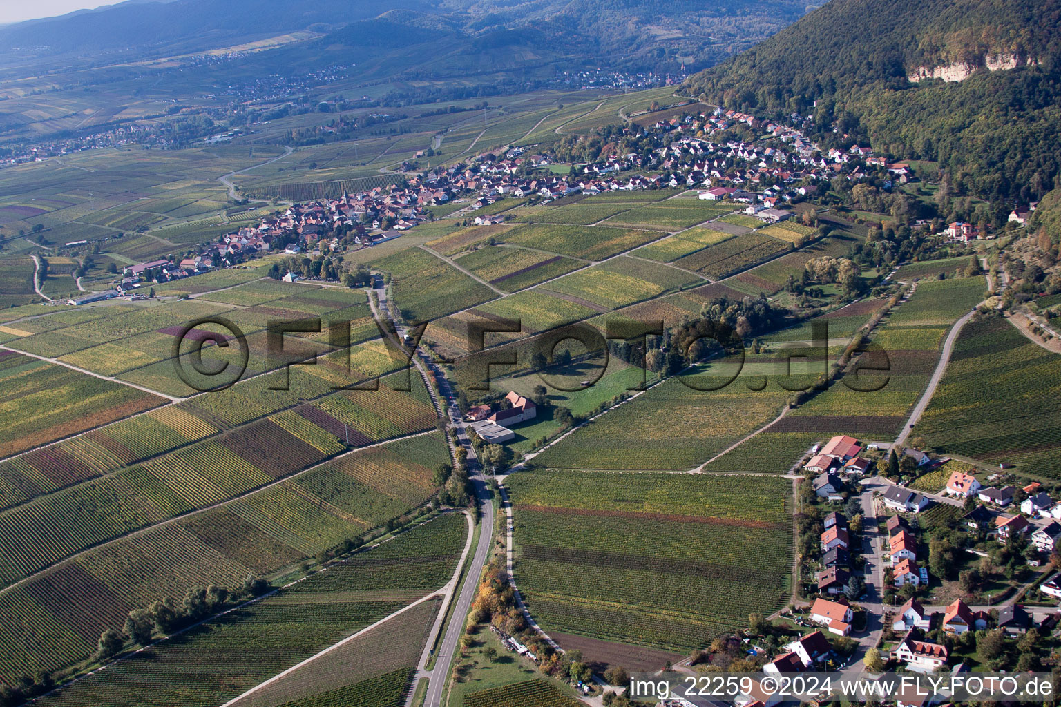 Frankweiler dans le département Rhénanie-Palatinat, Allemagne depuis l'avion