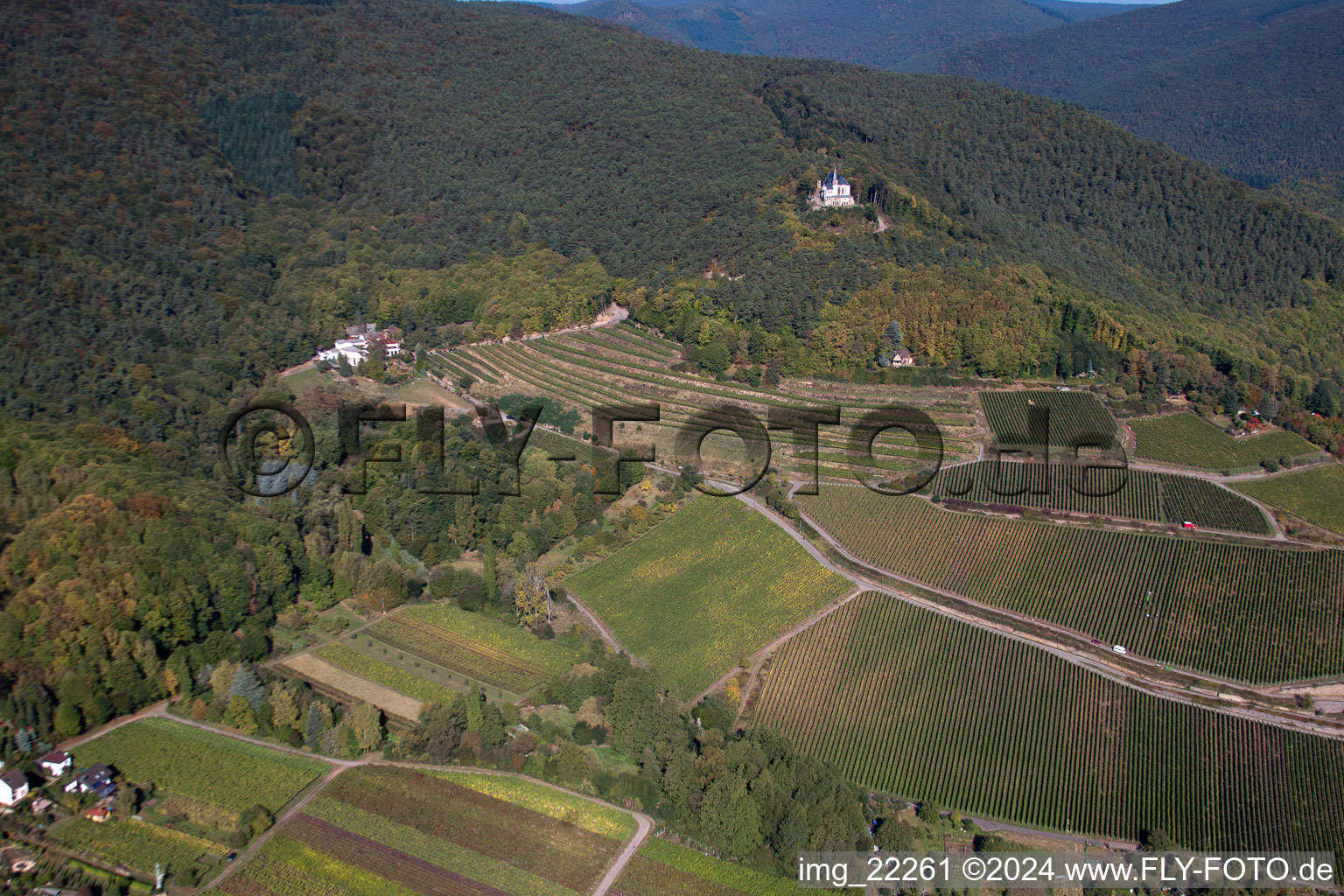 Photographie aérienne de Chapelle Anne à Burrweiler dans le département Rhénanie-Palatinat, Allemagne