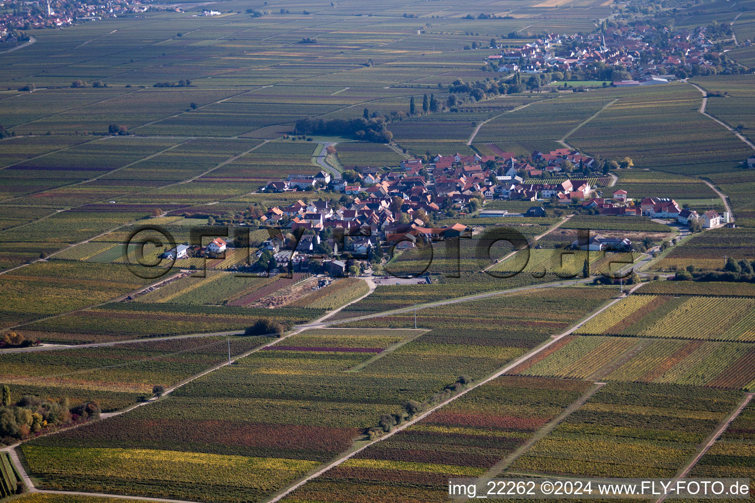 Flemlingen dans le département Rhénanie-Palatinat, Allemagne vue du ciel