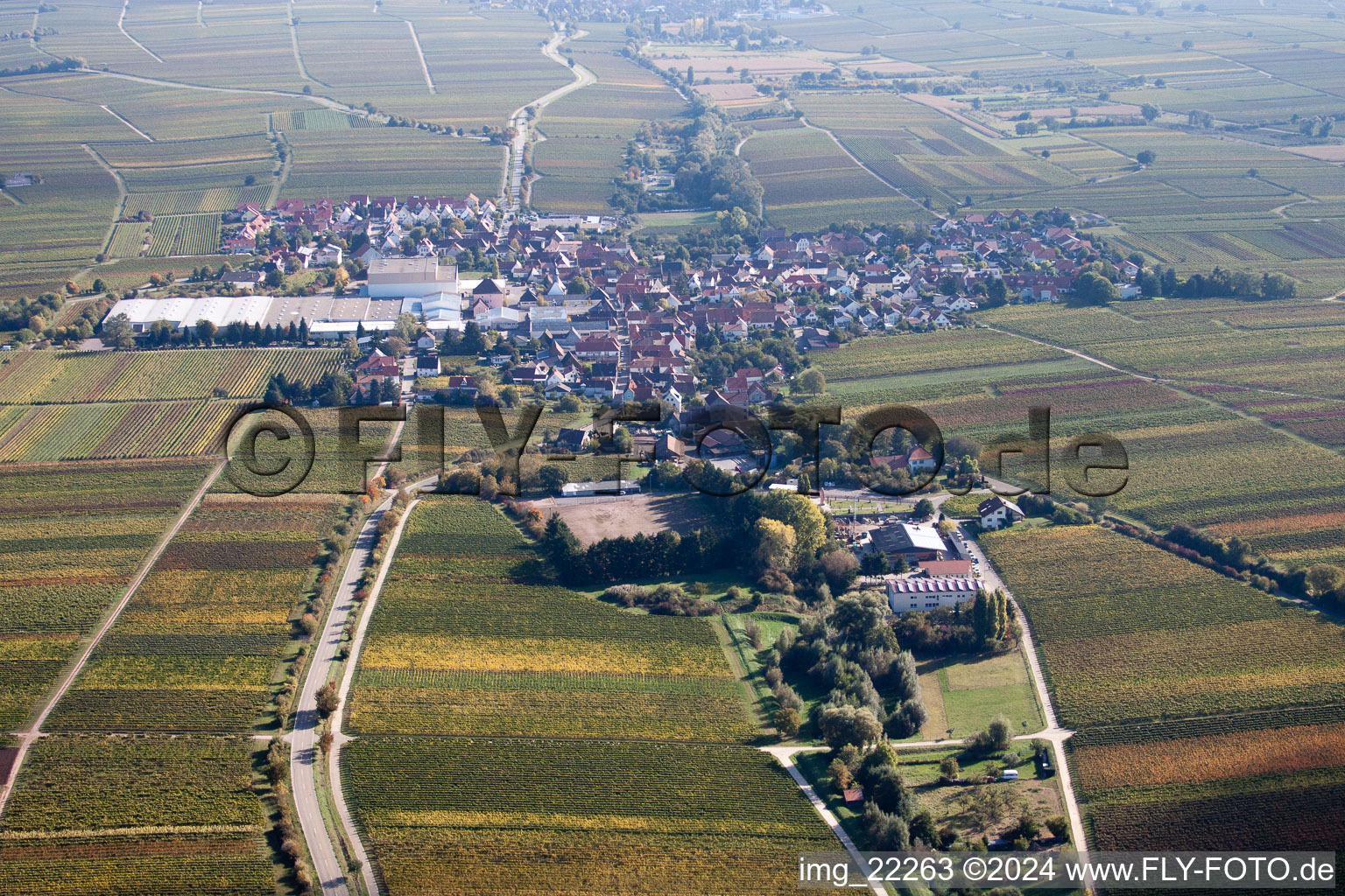 Vue aérienne de Vue des rues et des maisons des quartiers résidentiels à Böchingen dans le département Rhénanie-Palatinat, Allemagne