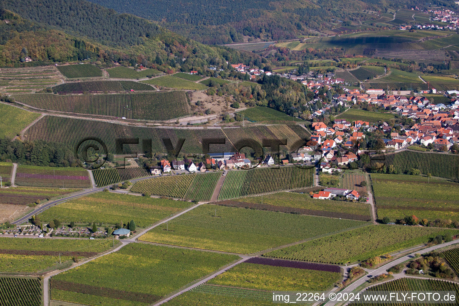 Gleisweiler dans le département Rhénanie-Palatinat, Allemagne depuis l'avion