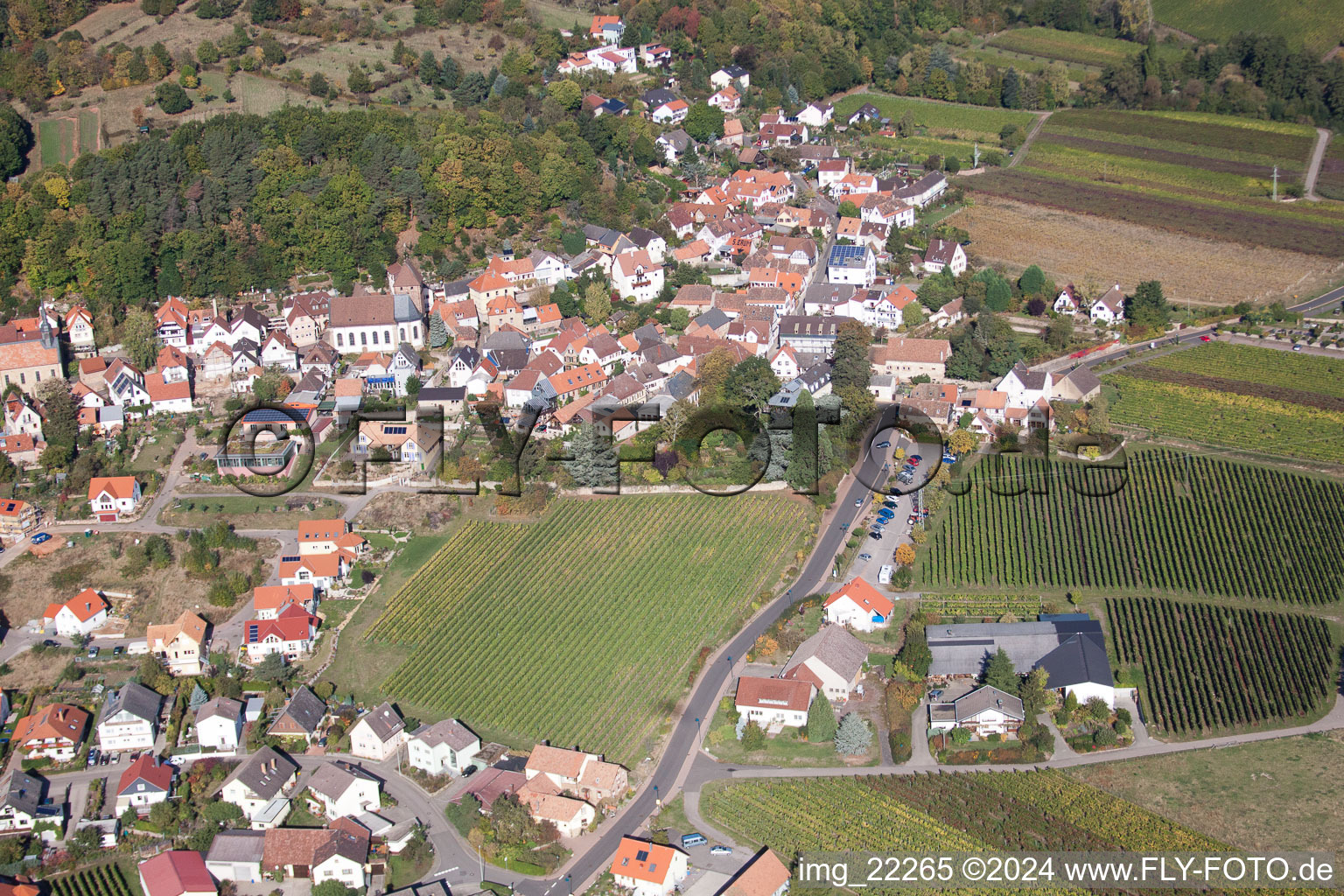 Vue d'oiseau de Gleisweiler dans le département Rhénanie-Palatinat, Allemagne