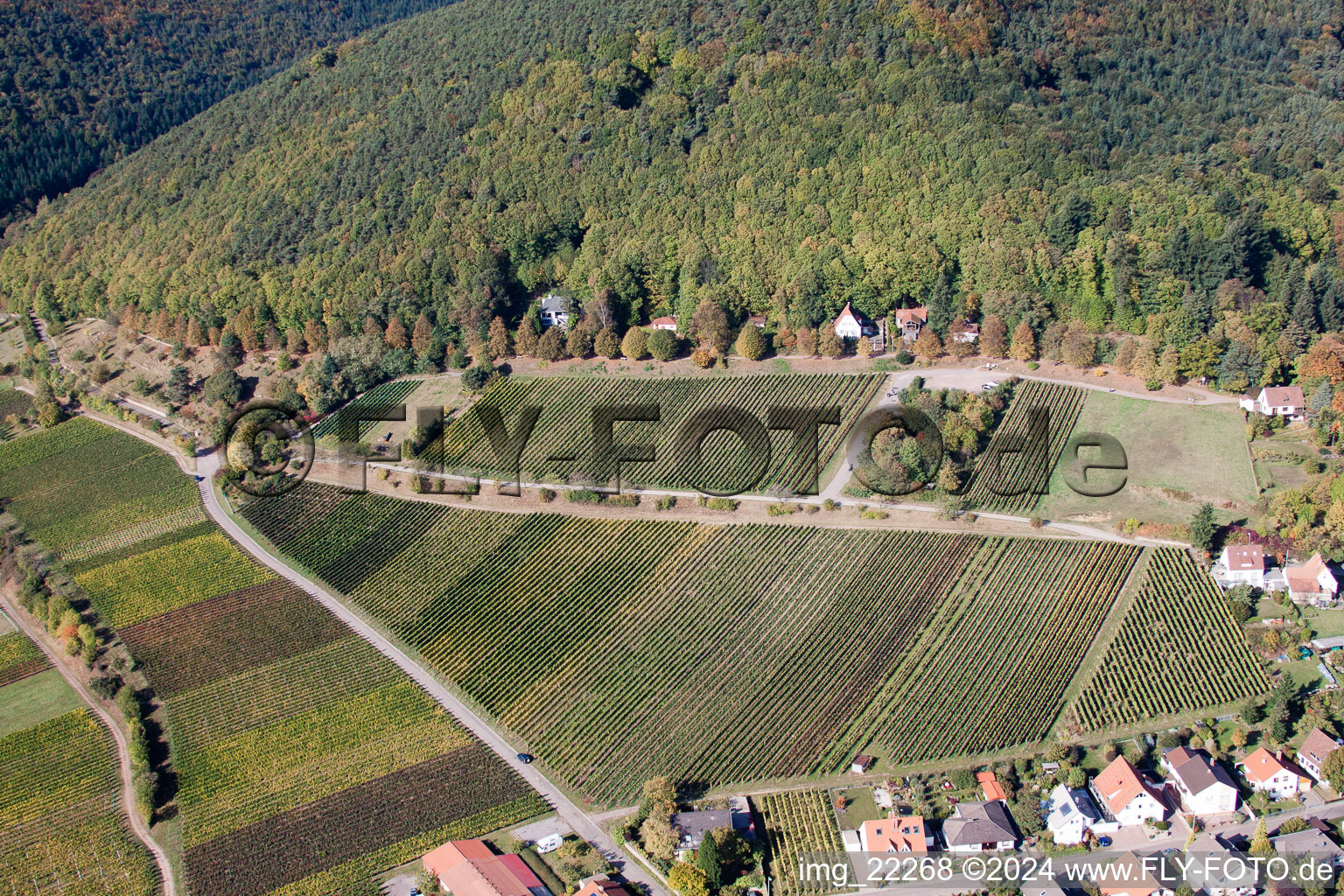 Enregistrement par drone de Gleisweiler dans le département Rhénanie-Palatinat, Allemagne