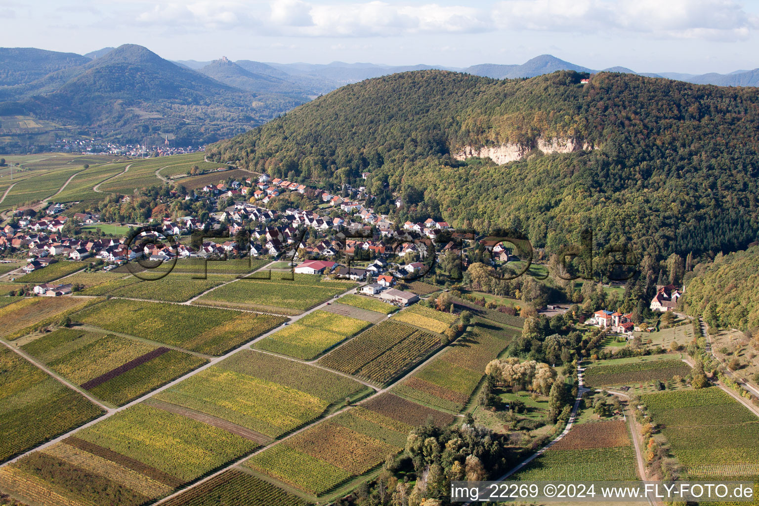 Frankweiler dans le département Rhénanie-Palatinat, Allemagne vue du ciel