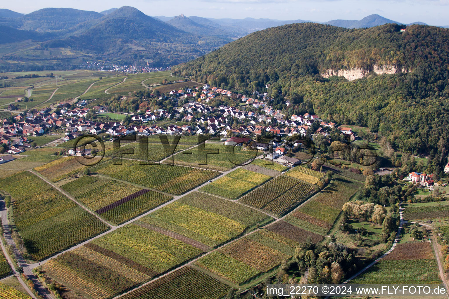 Vue aérienne de Village - vue entre forêt du Palatinat et vignes à Frankweiler dans le département Rhénanie-Palatinat, Allemagne