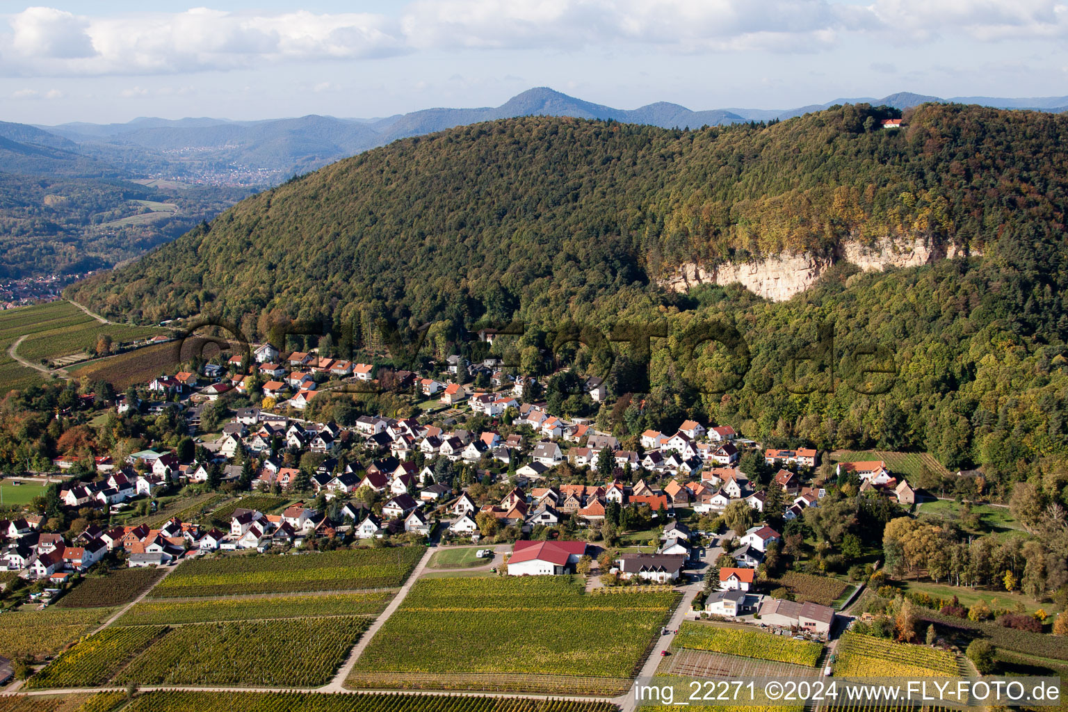 Frankweiler dans le département Rhénanie-Palatinat, Allemagne vue du ciel