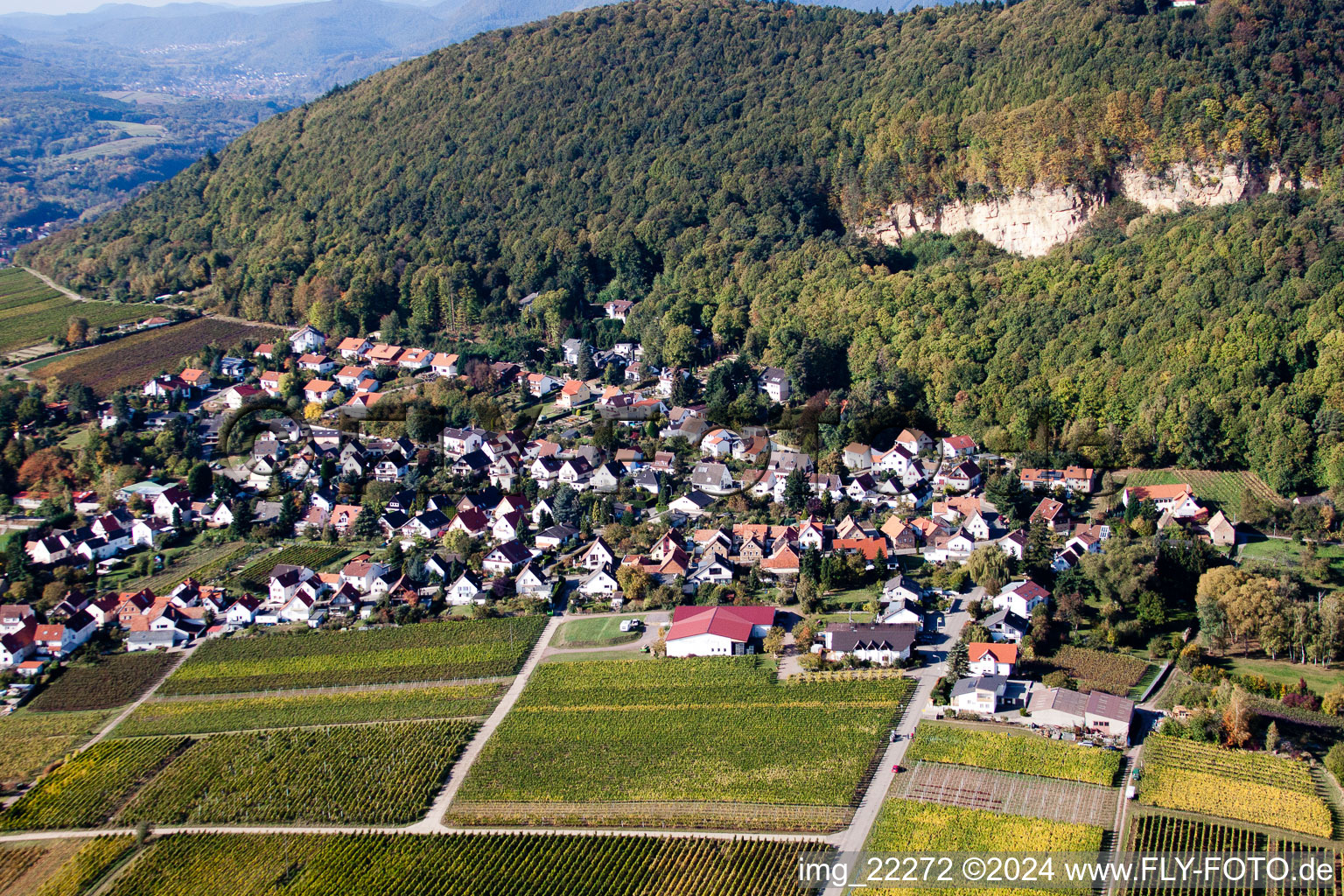 Enregistrement par drone de Frankweiler dans le département Rhénanie-Palatinat, Allemagne