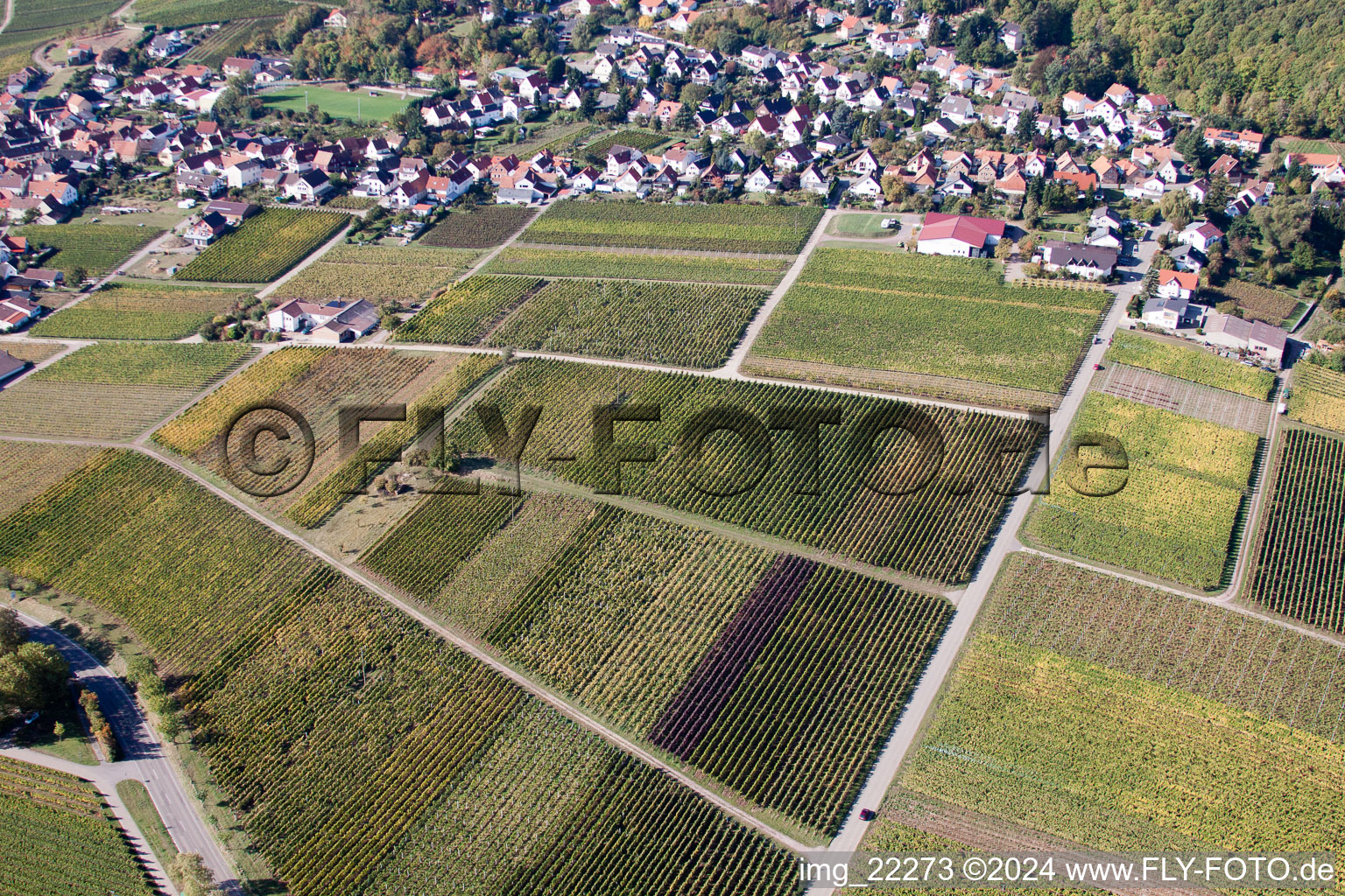 Image drone de Frankweiler dans le département Rhénanie-Palatinat, Allemagne