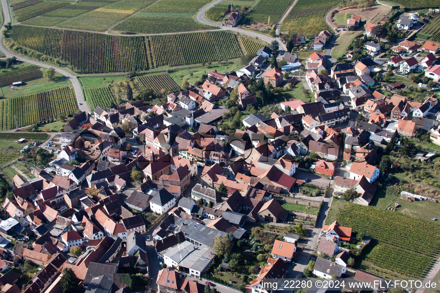 Vue aérienne de Frankweiler dans le département Rhénanie-Palatinat, Allemagne