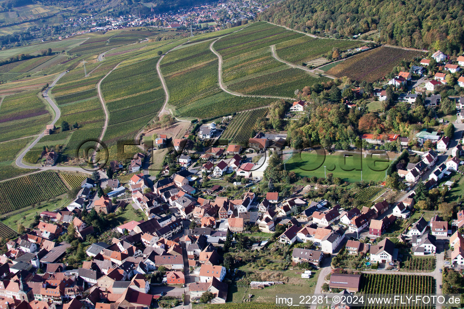 Photographie aérienne de Frankweiler dans le département Rhénanie-Palatinat, Allemagne