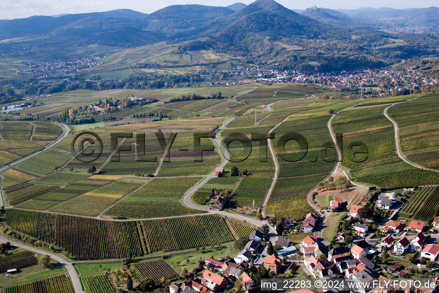 Frankweiler dans le département Rhénanie-Palatinat, Allemagne d'en haut