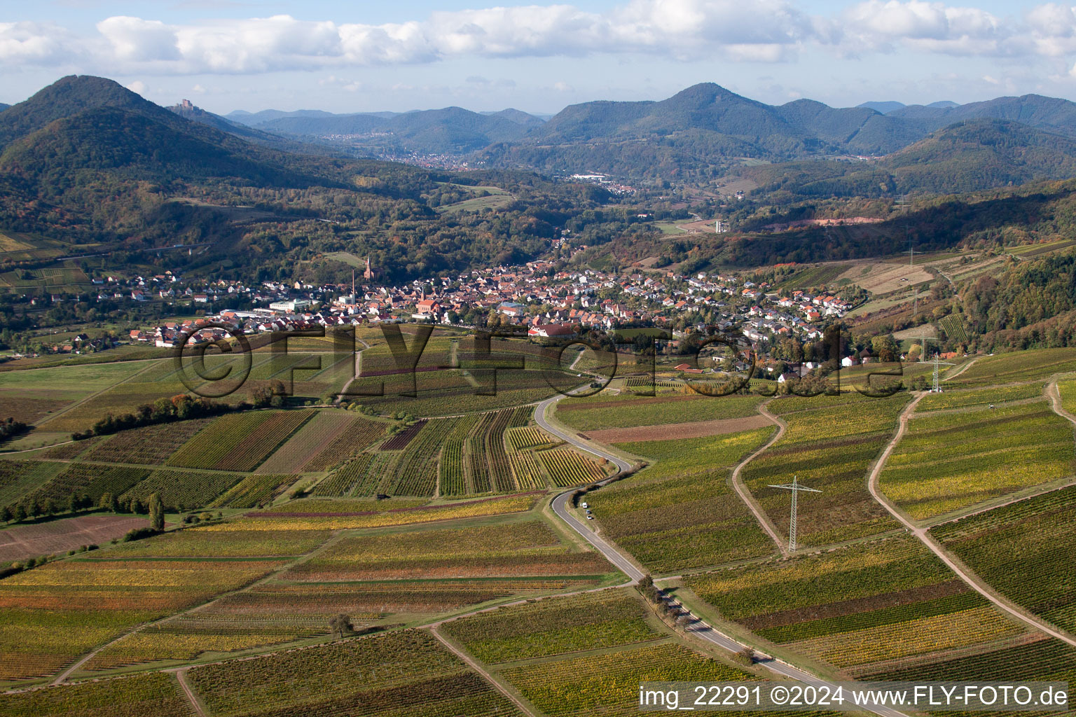 Vue aérienne de Champs agricoles et surfaces utilisables à Albersweiler dans le département Rhénanie-Palatinat, Allemagne