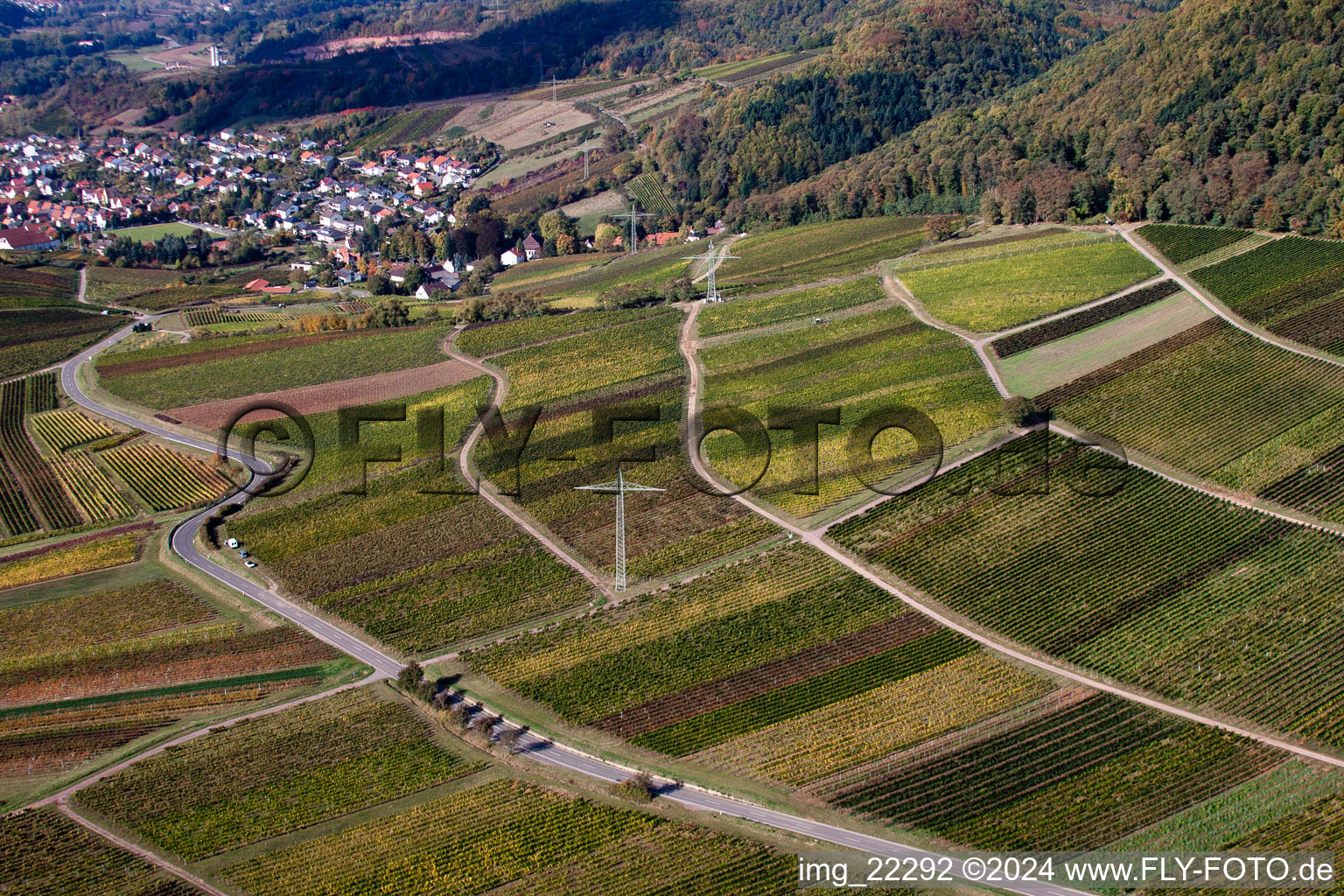 Image drone de Albersweiler dans le département Rhénanie-Palatinat, Allemagne