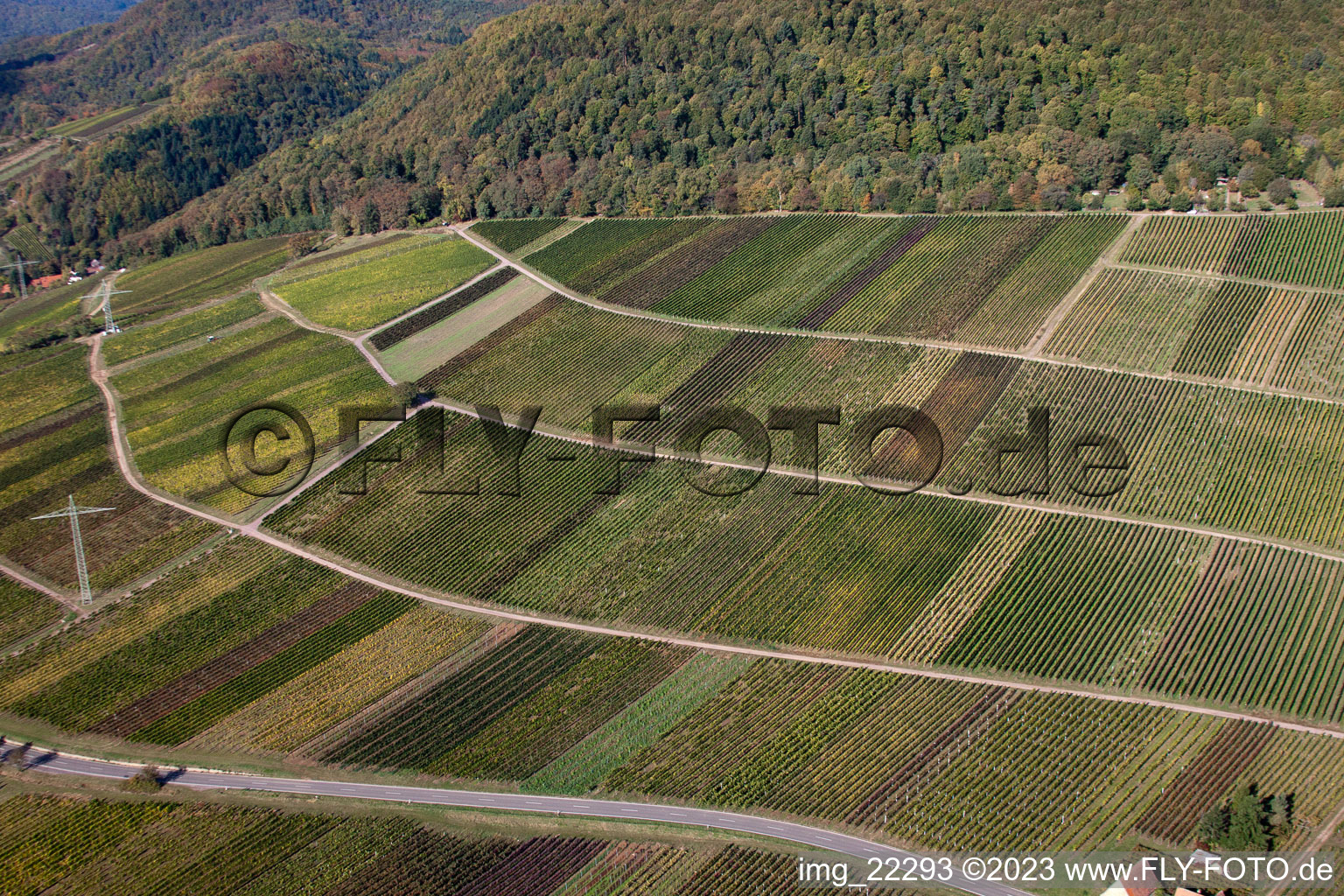 Albersweiler dans le département Rhénanie-Palatinat, Allemagne du point de vue du drone