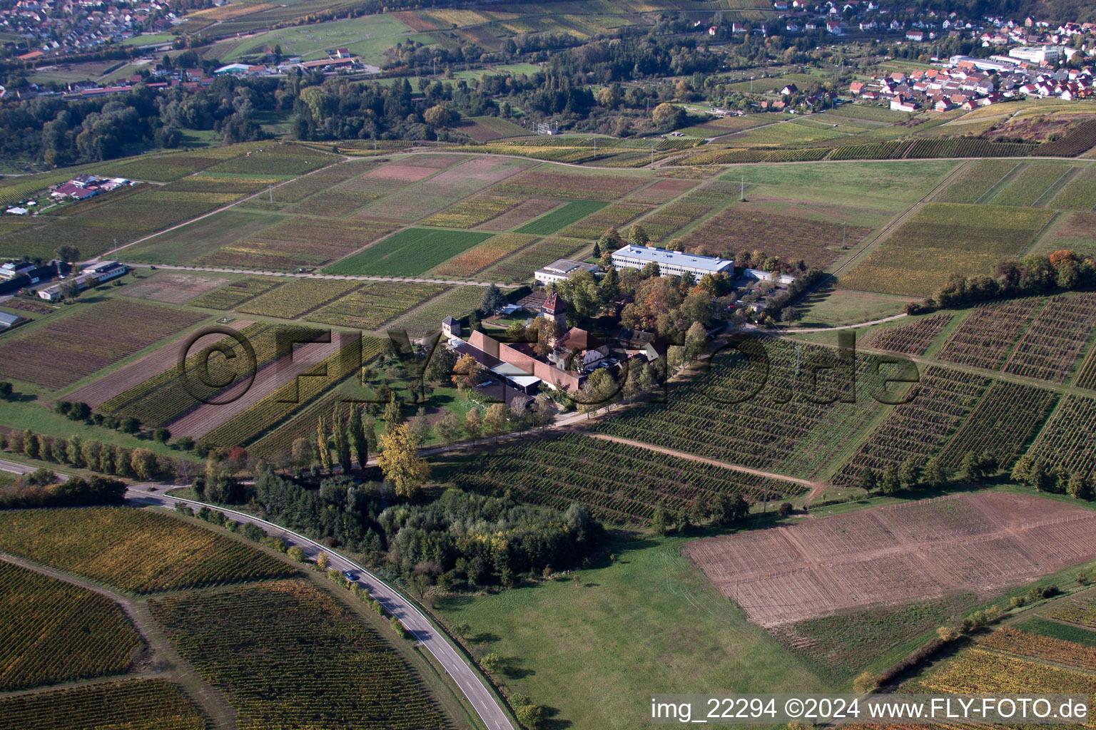 Vue aérienne de BFA-Geilweilerhof (Institut de recherche sur la vigne) à Siebeldingen dans le département Rhénanie-Palatinat, Allemagne