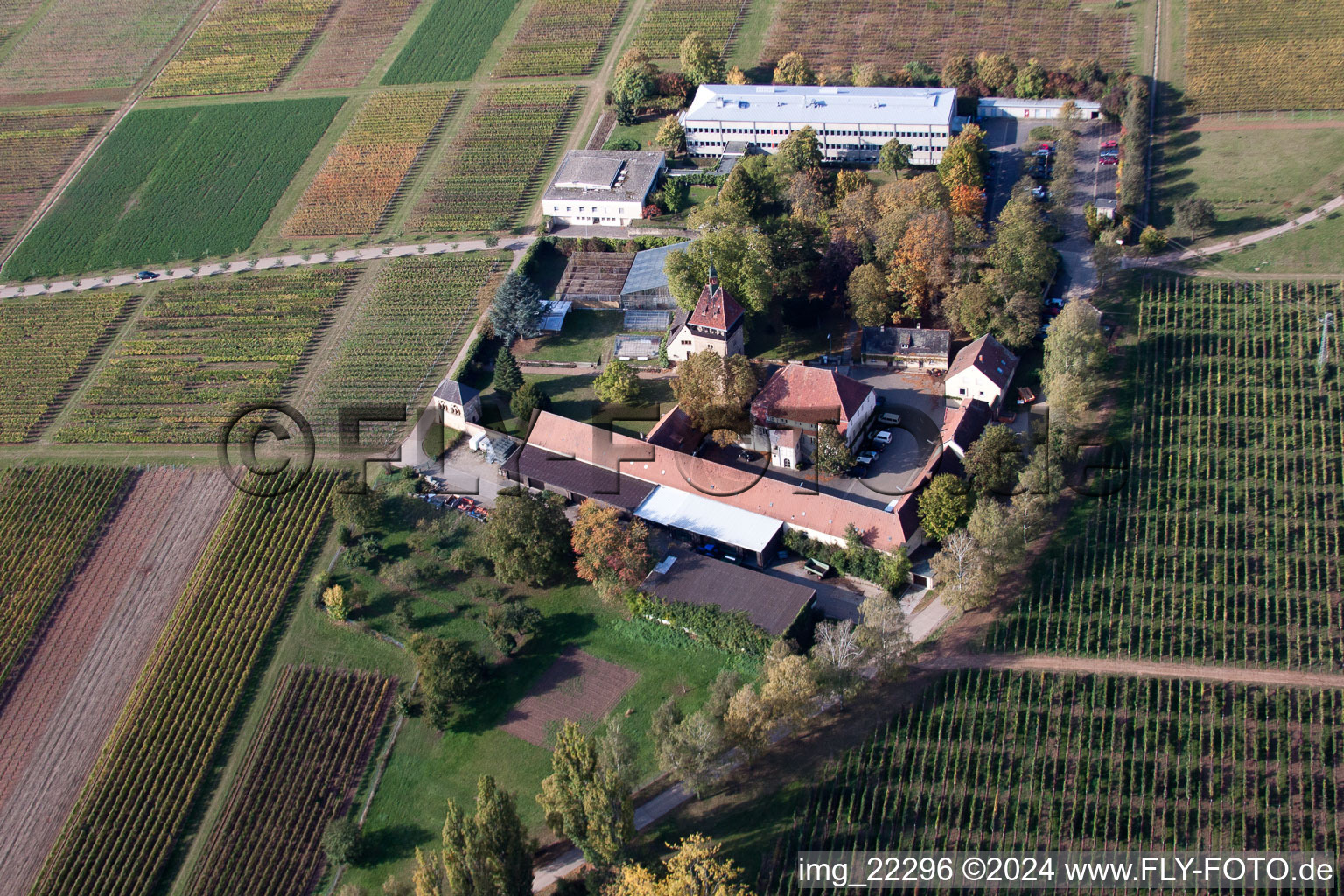 Photographie aérienne de BFA-Geilweilerhof (Institut de recherche sur la vigne) à Siebeldingen dans le département Rhénanie-Palatinat, Allemagne