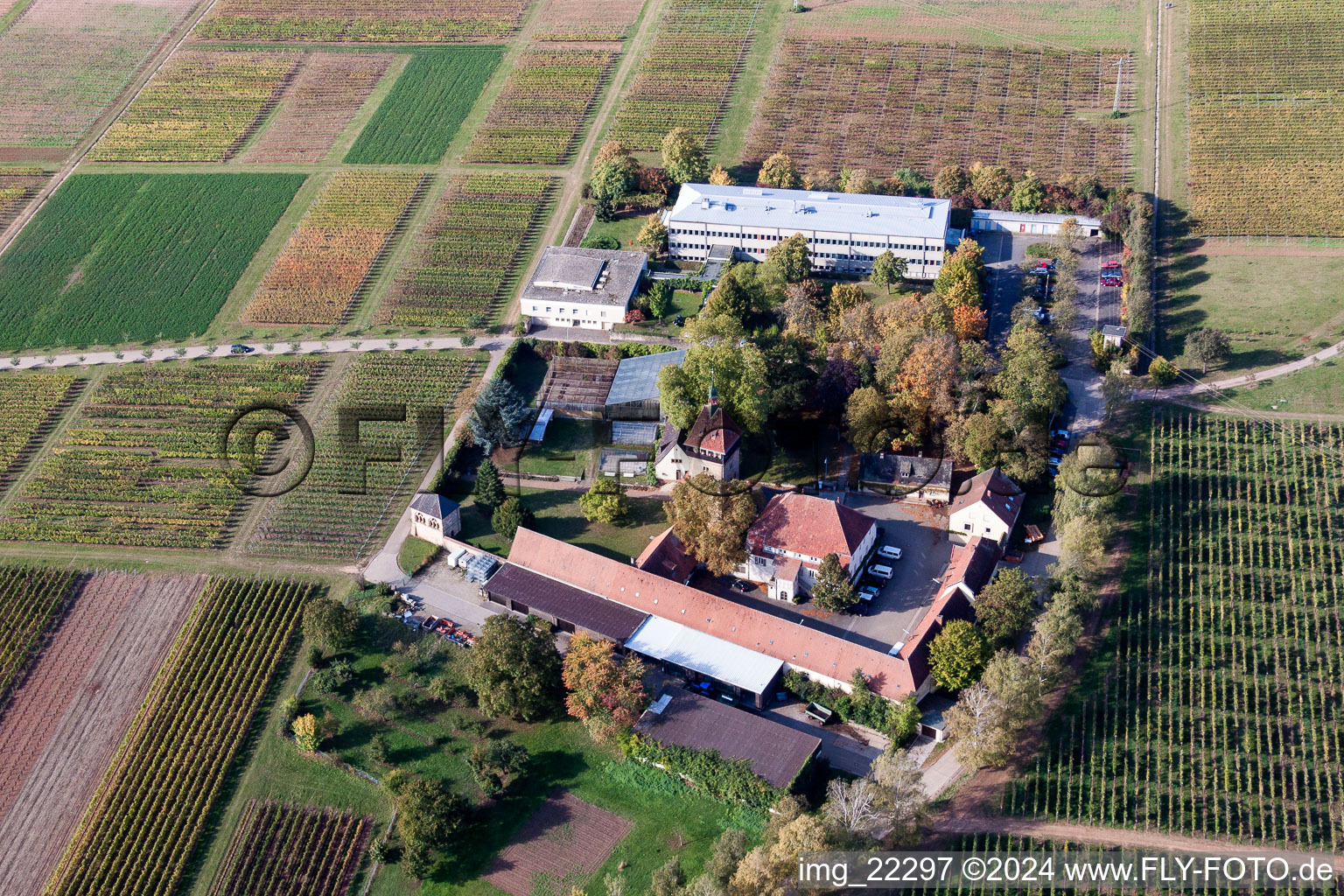 Vue oblique de BFA-Geilweilerhof (Institut de recherche sur la vigne) à Siebeldingen dans le département Rhénanie-Palatinat, Allemagne